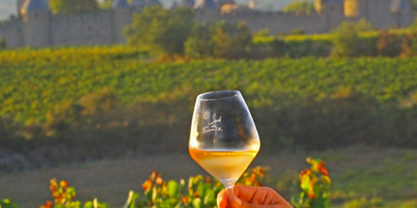 Disparition de Sud de France des bouteilles de vin : le ton monte entre l'État et la région Occitanie