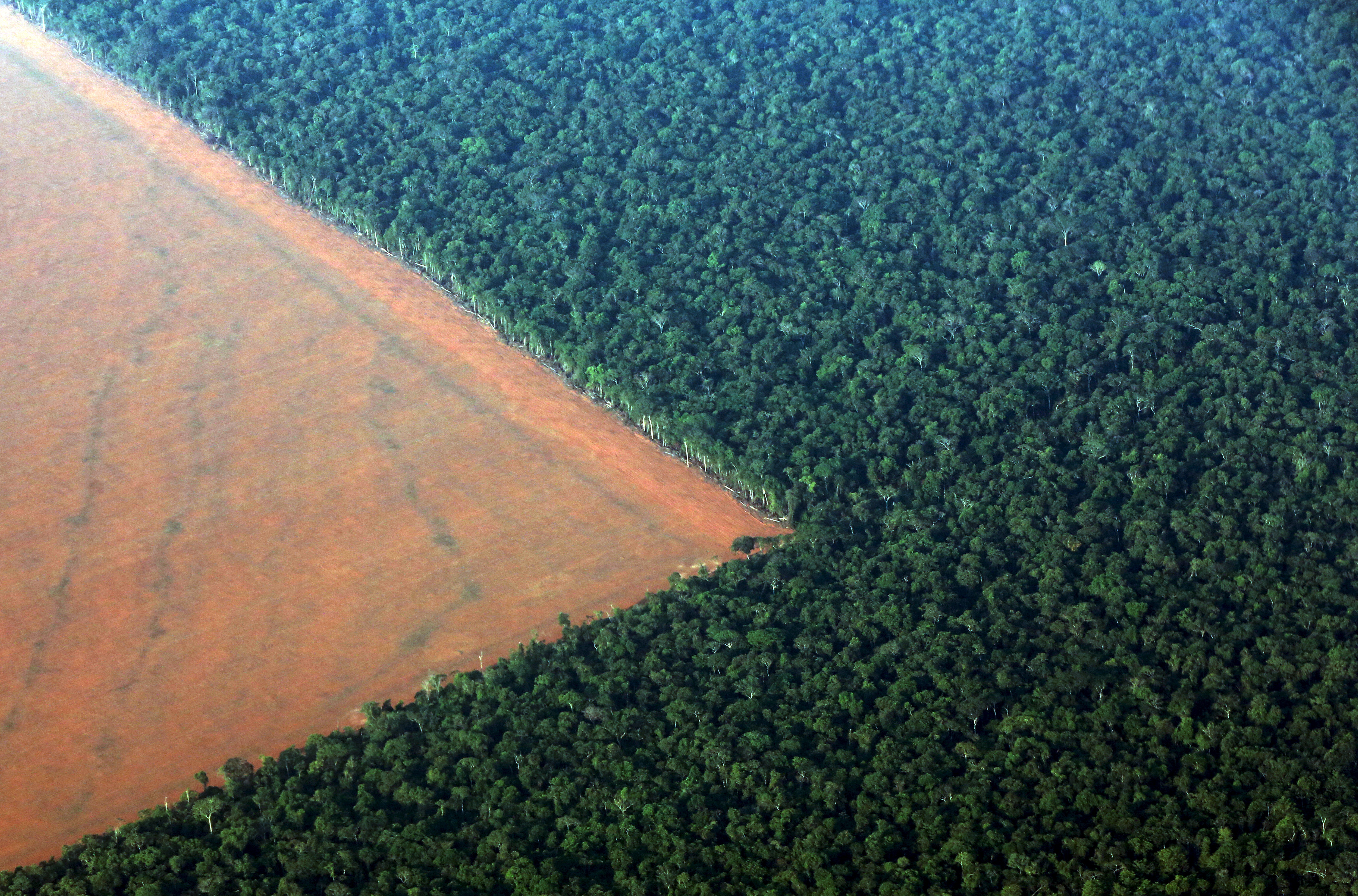 Déforestation importée : l'Europe incapable de s'accorder face au fléau