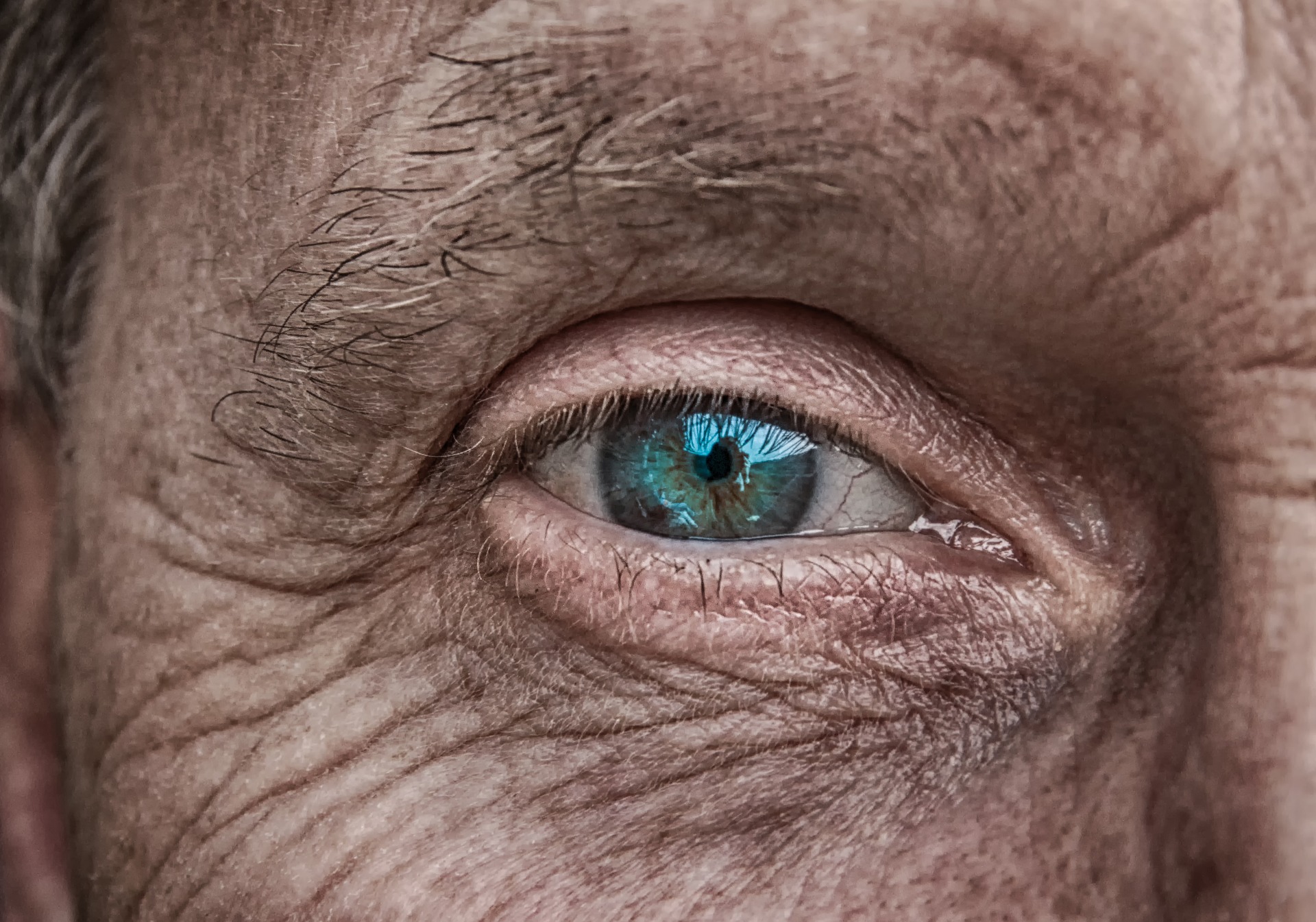 Il est urgent d'investir dans la santé visuelle pour préserver l'autonomie des personnes âgées