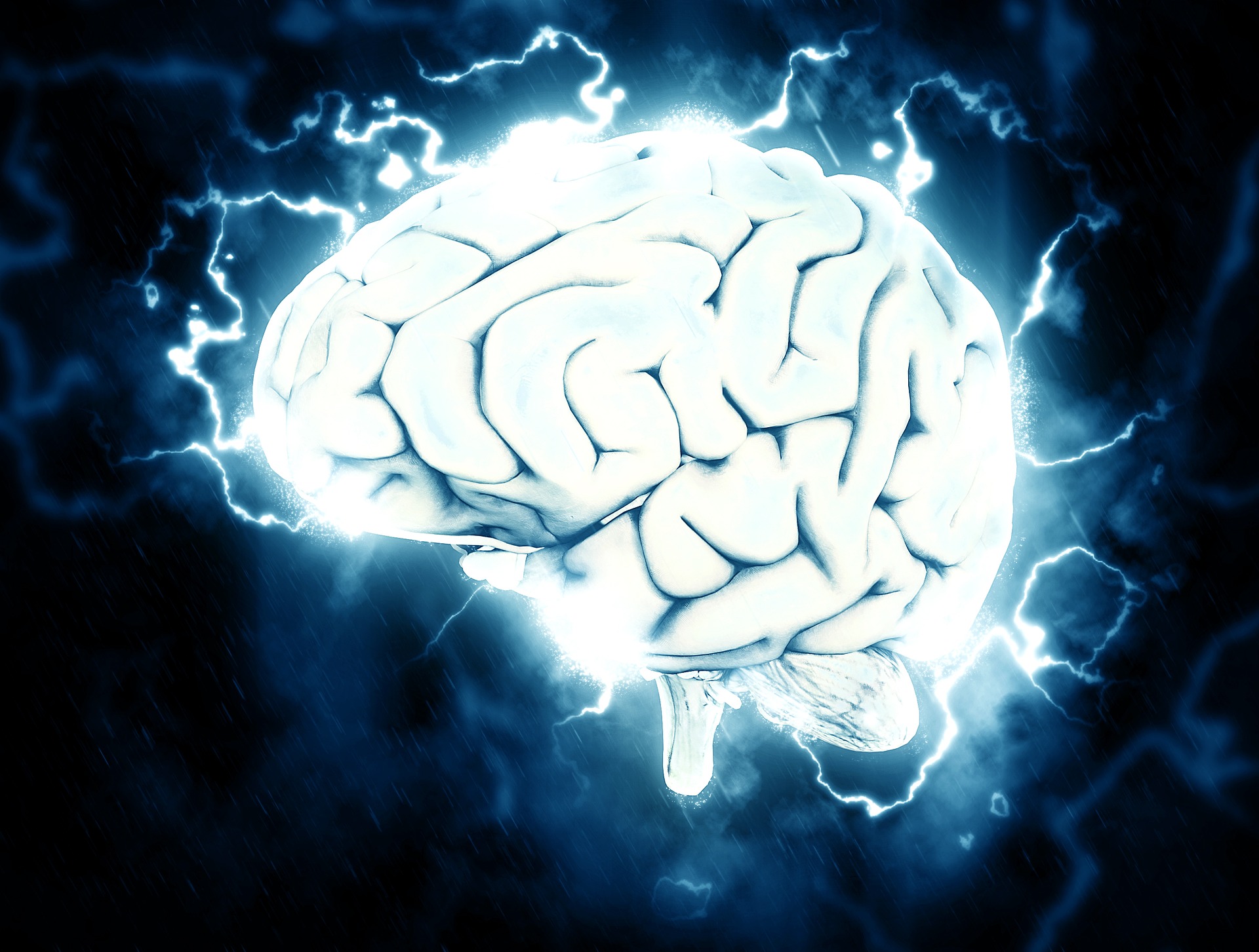 La start-up Synchron, concurrente de Neuralink, prête à tester sa puce cérébrale à grande échelle