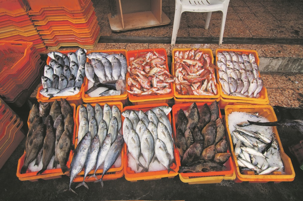 Près d'un tiers des poissons pêchés en France font encore partie de la surpêche