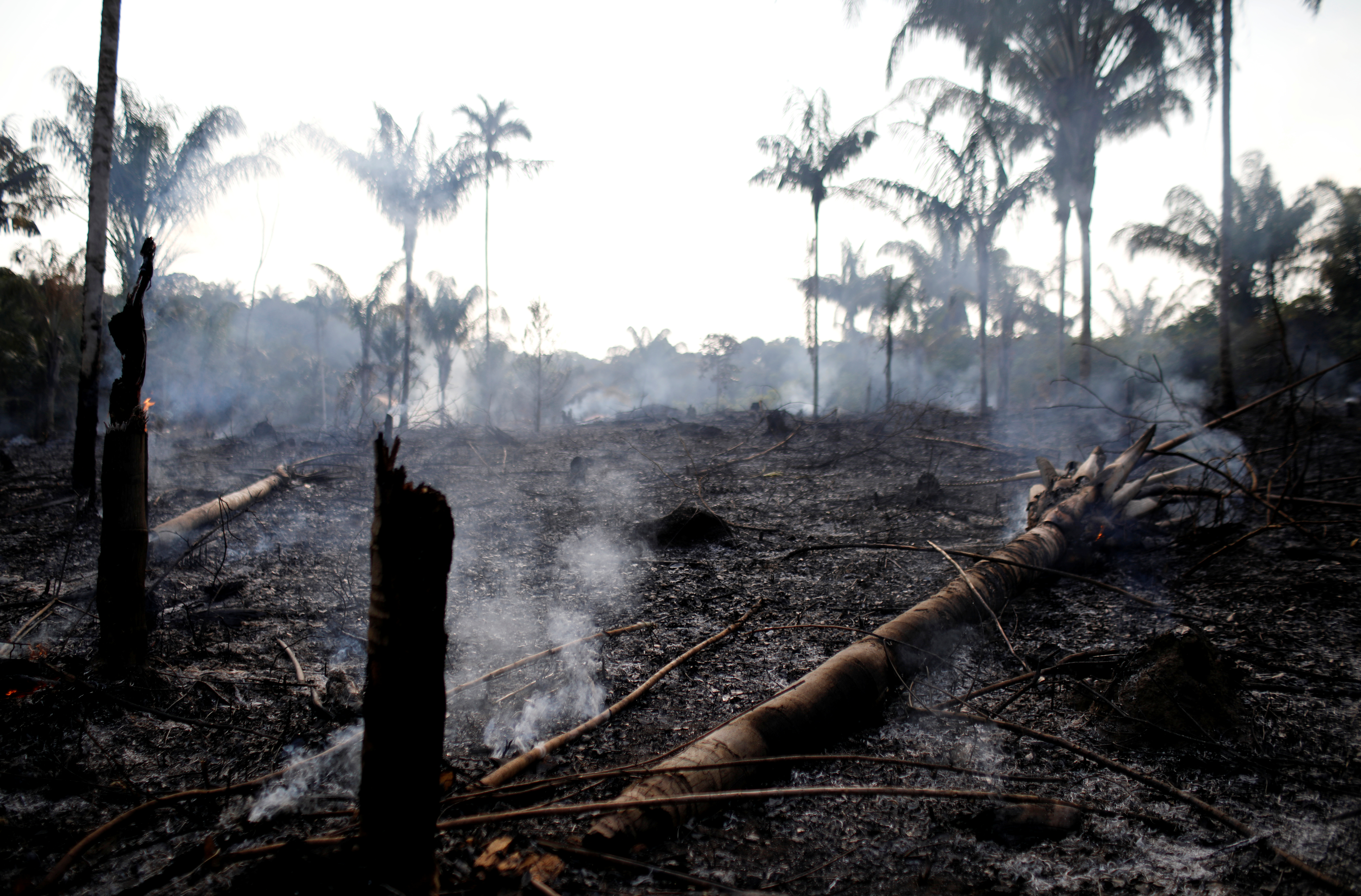 Feux de forêt en Amazonie: Bolsonaro accuse les ONG de les avoir allumés