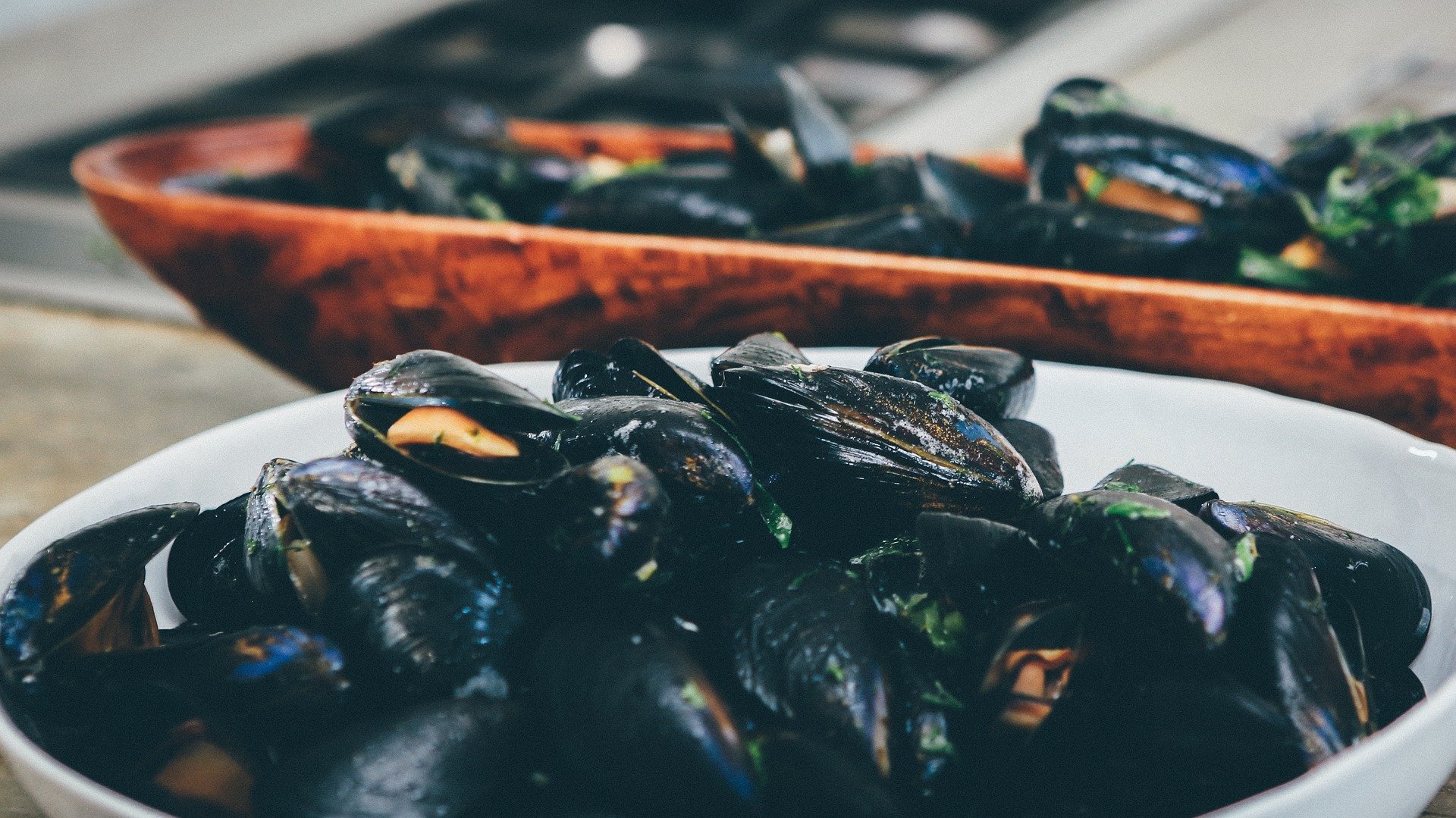 Huîtres et moules : des innovations pour limiter les pertes et la pollution