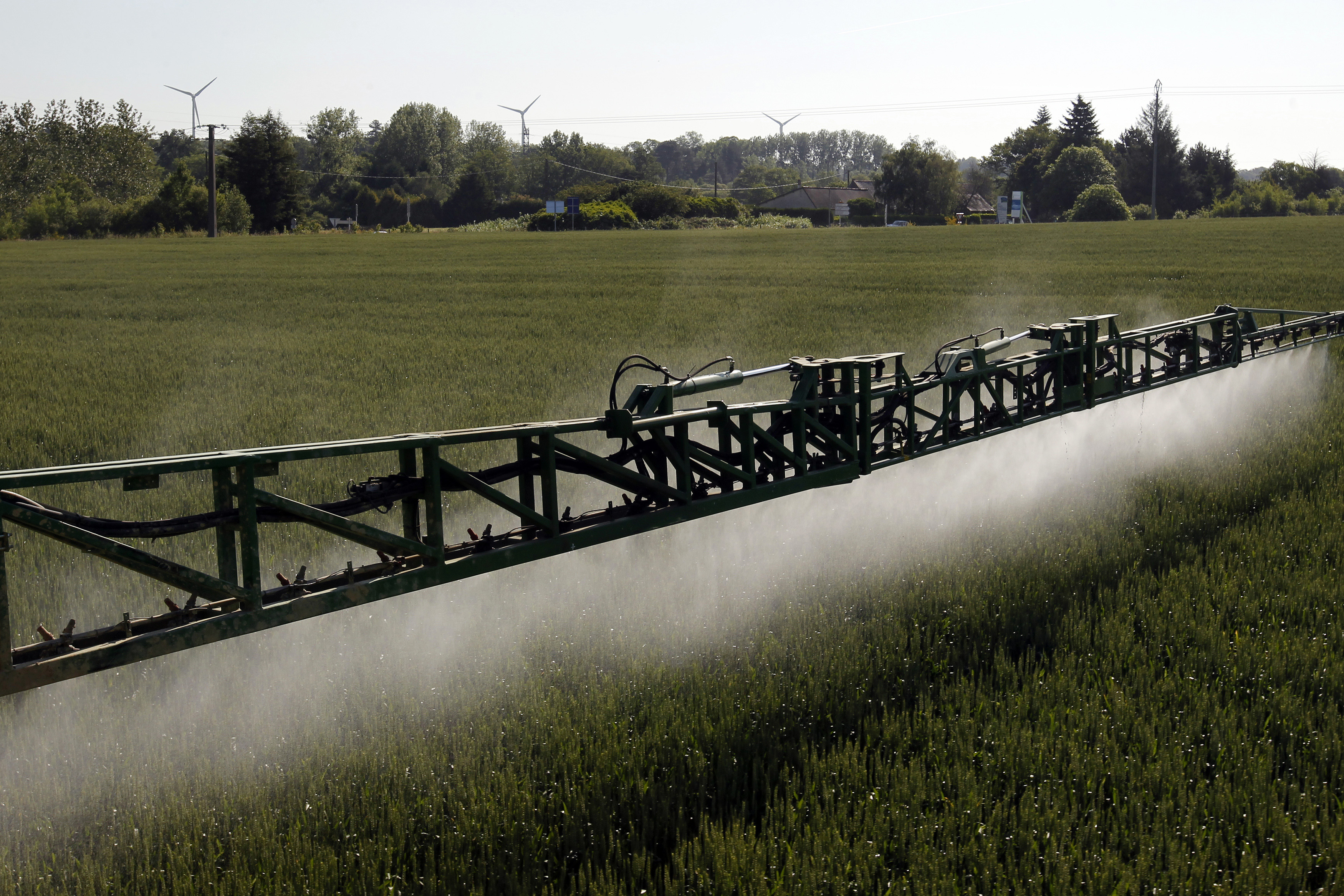 Les dérogations pour réduire les distances d'épandage de pesticides jugées anticonstitutionnelles