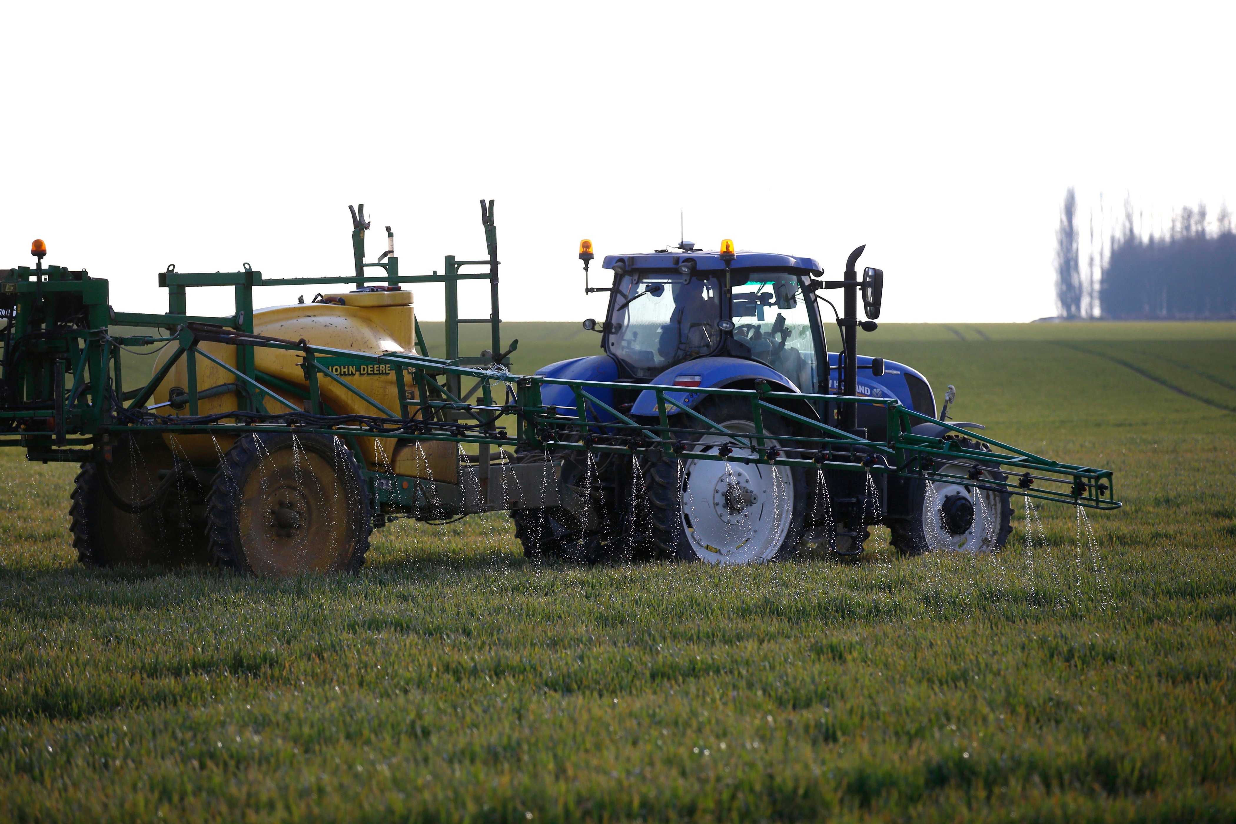 L'Europe veut bannir les produits contenant des pesticides interdits par l'Union