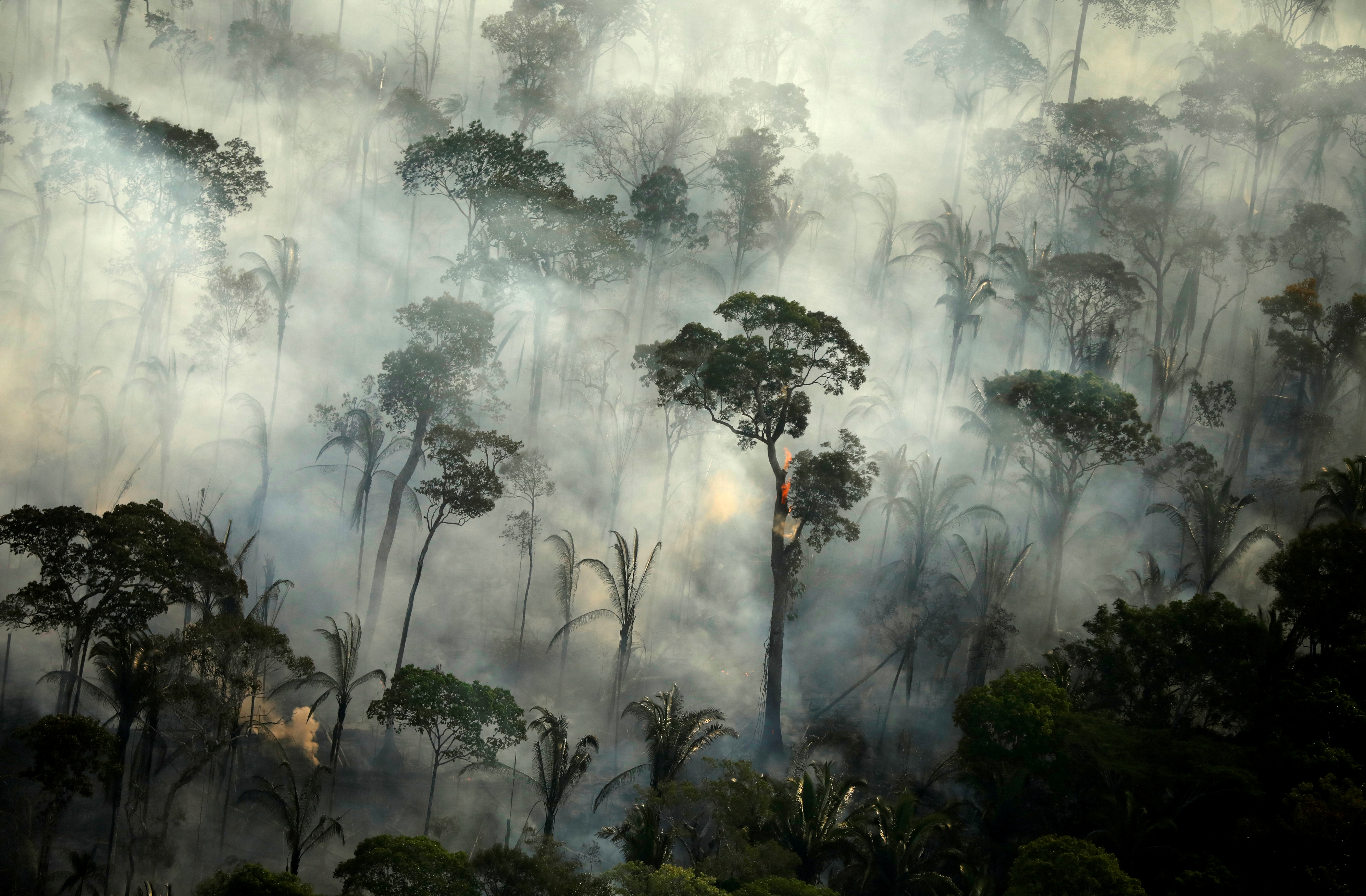 Les incendies en Amazonie augmentent dangereusement