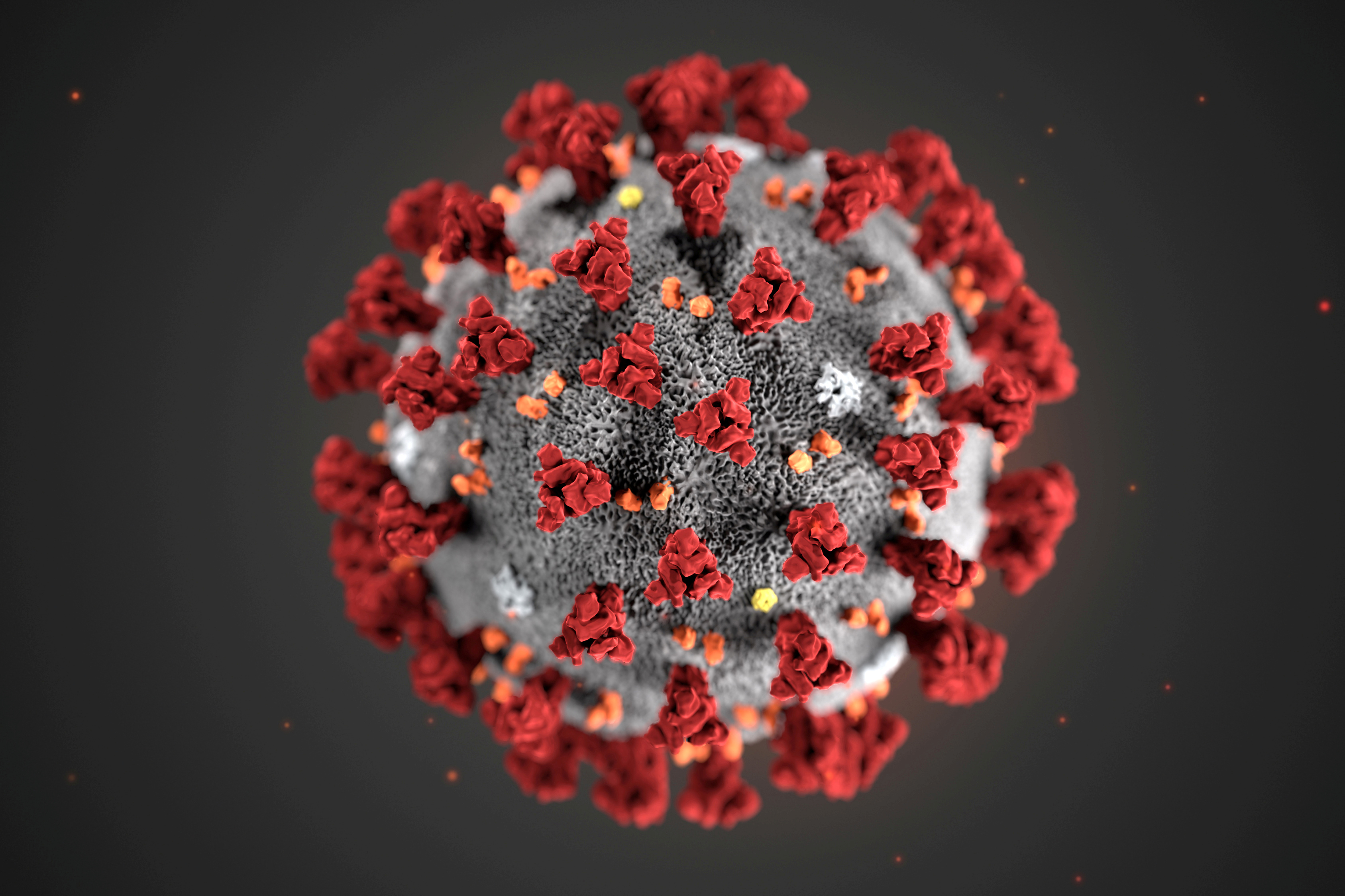 Un an de crise : ce que la science a appris sur ce coronavirus imprévisible