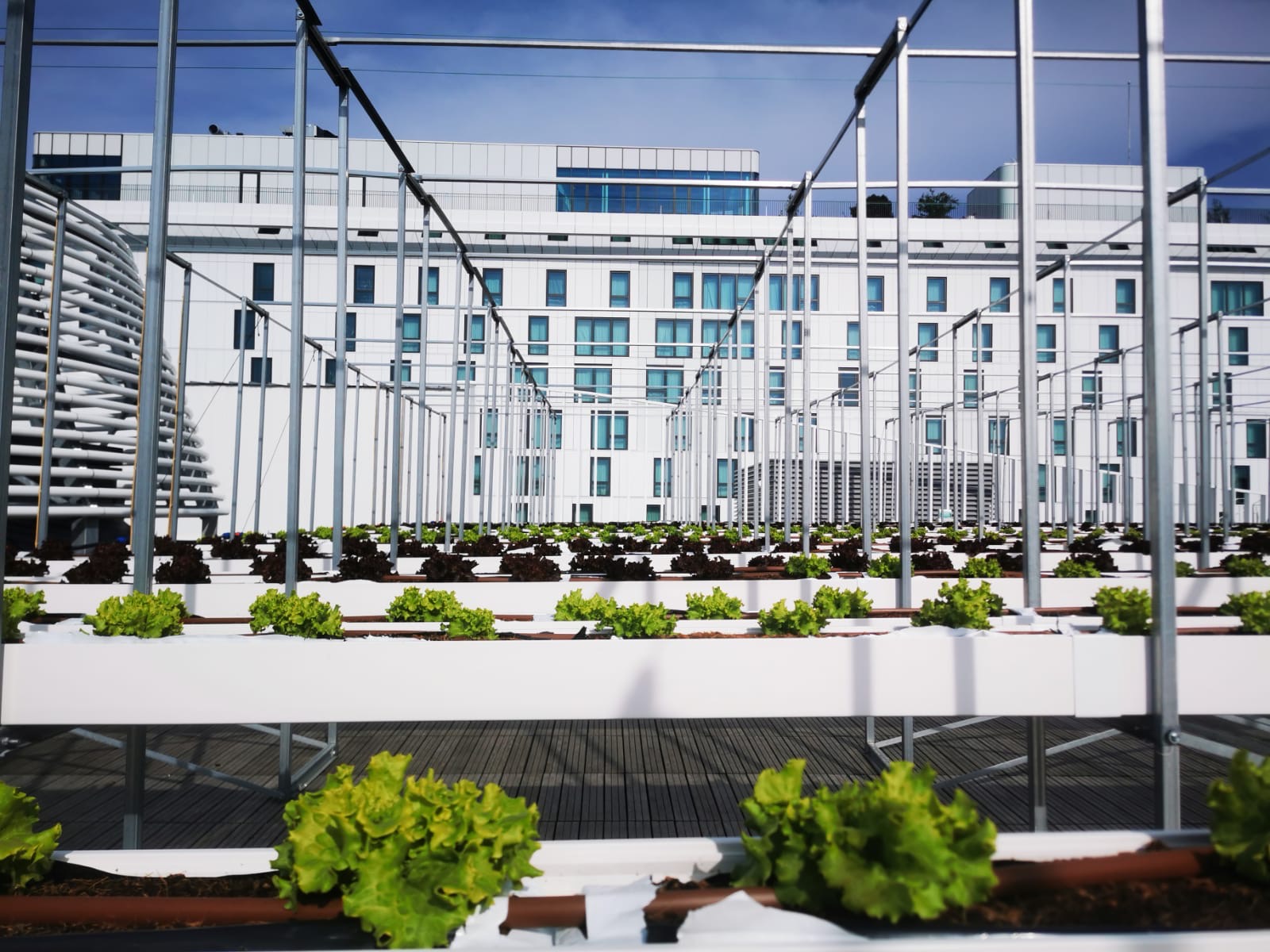 À Paris, 14.000 mètres carrés pour tester la ferme urbaine et propre du futur