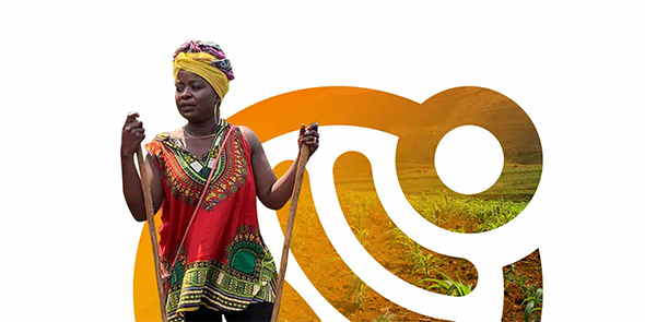 ITK lance un nouveau projet en Afrique sur la séquestration de carbone dans les sols agricoles