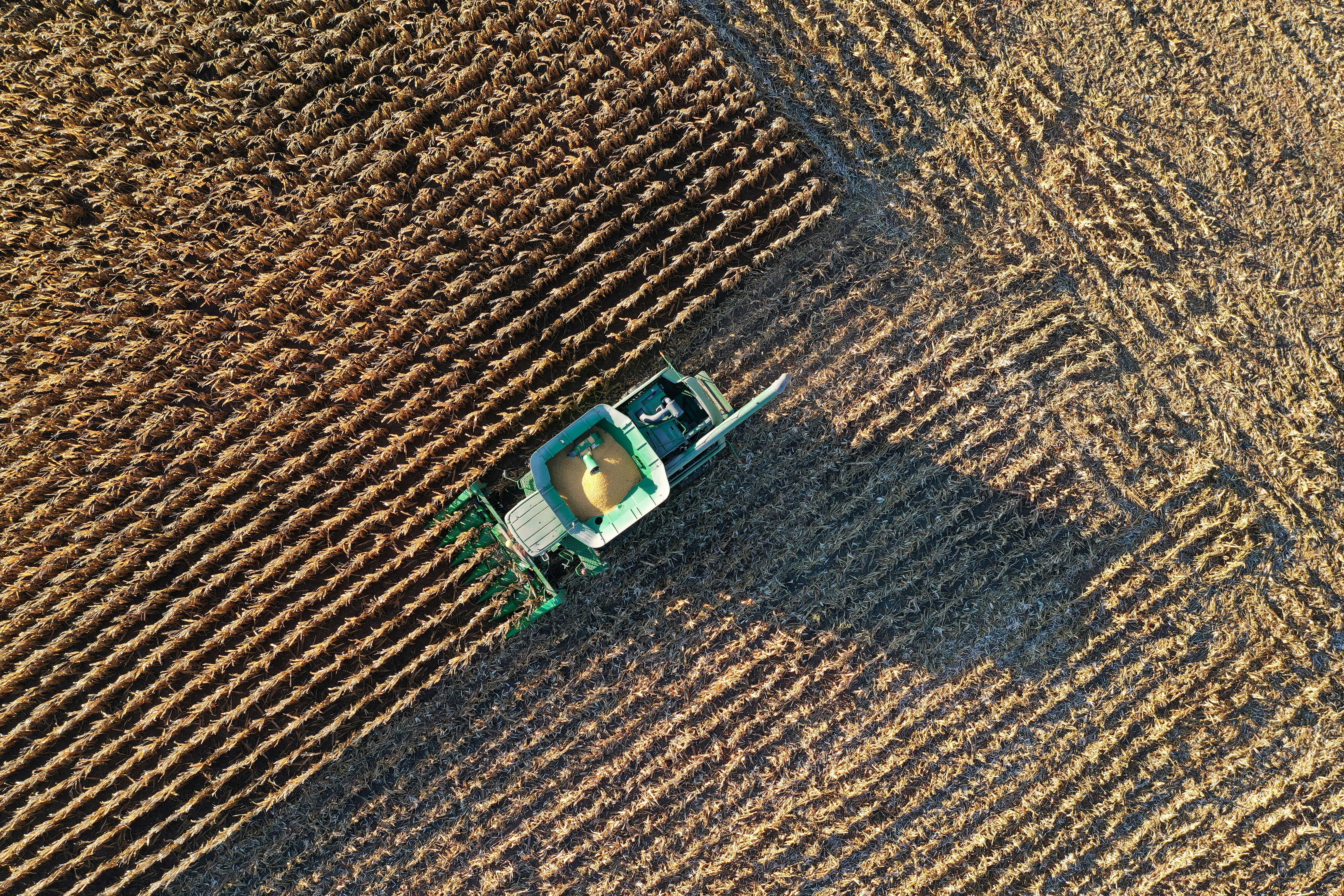 Après l’acier et l’aluminium, l’agriculture dans la ligne de mire de Trump