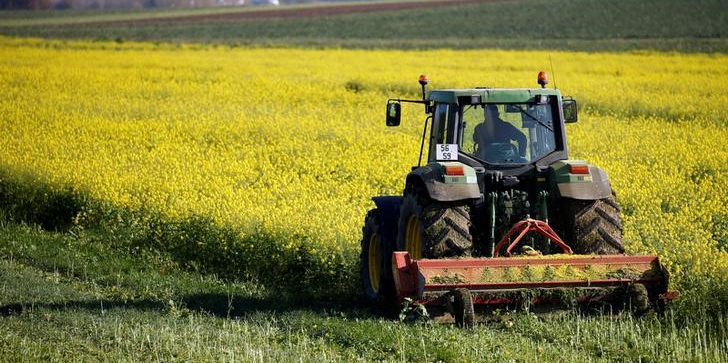 France: le nombre d'agriculteurs a été divisé par 4 en 40 ans