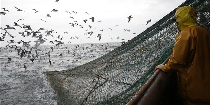 Crise de la pêche en France : les marchands de filets très inquiets