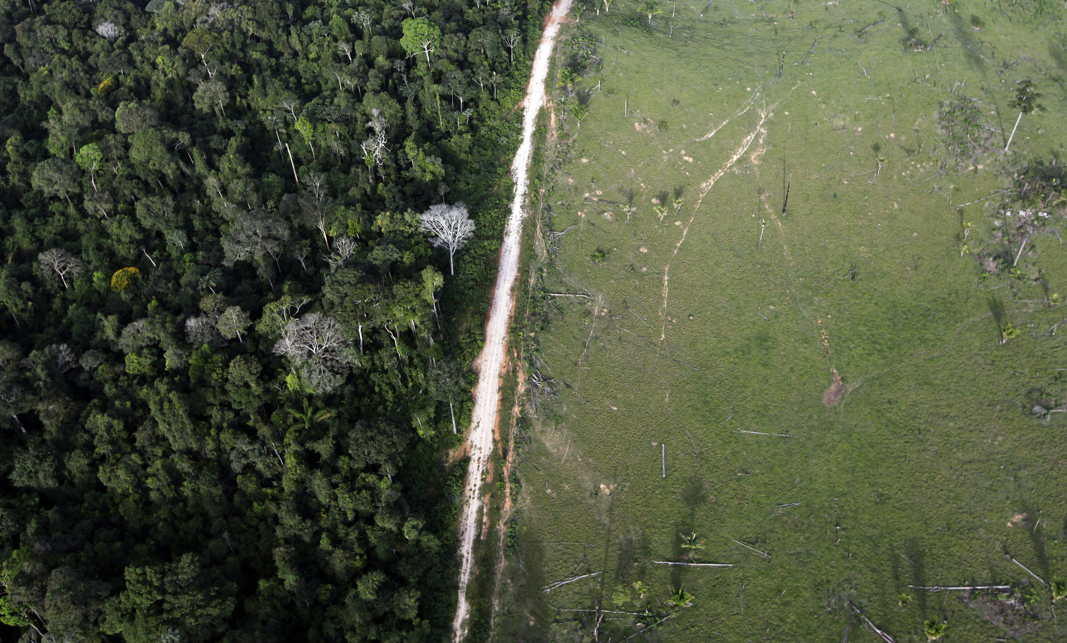 Déforestation au Brésil : la législation européenne peut-elle changer la donne ?