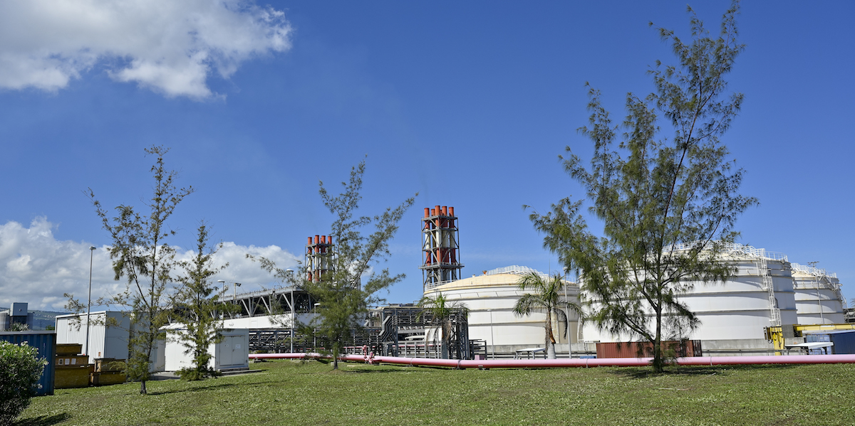 Dans les outre-mer, EDF va abandonner le fioul pour la biomasse liquide