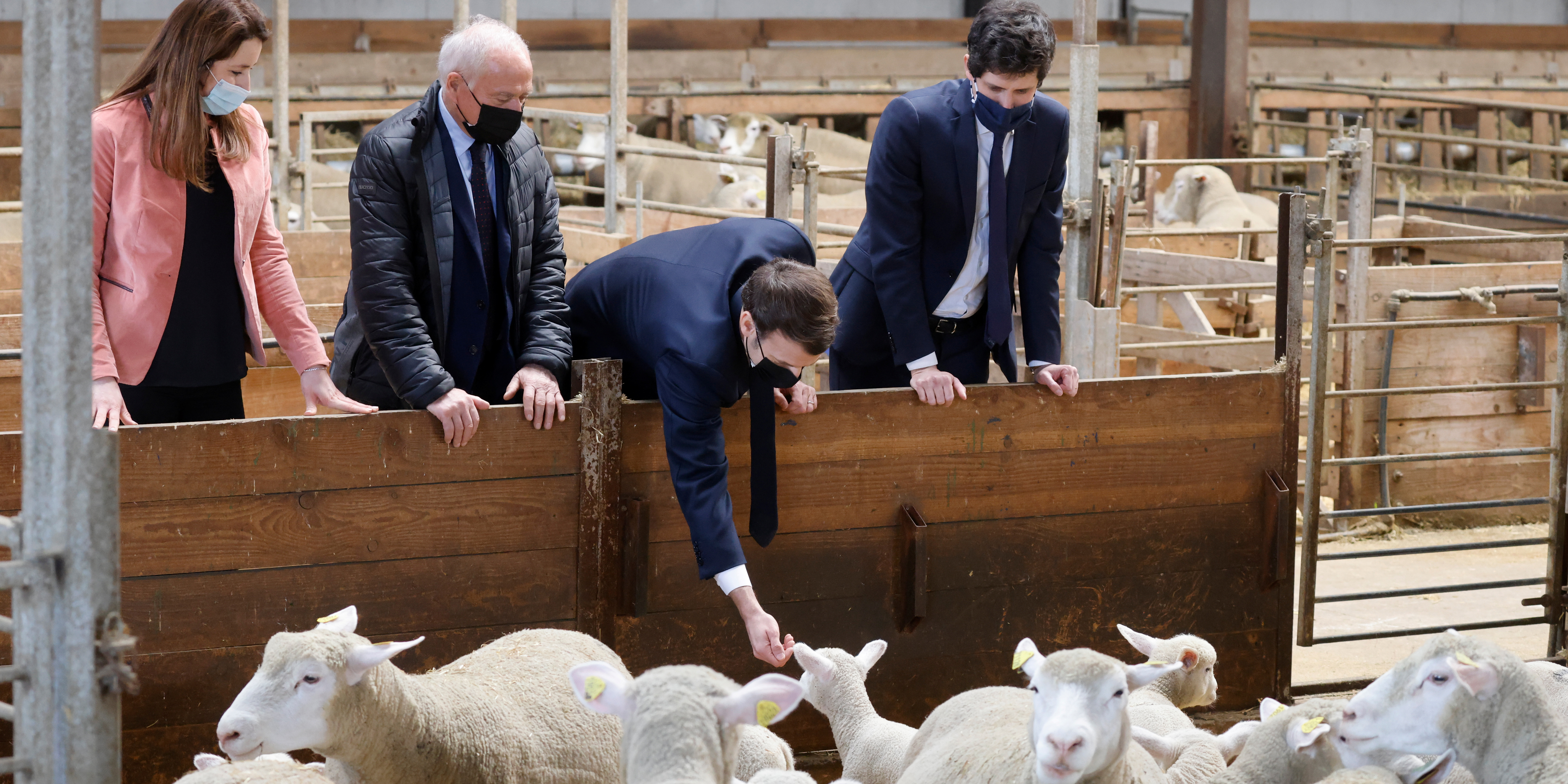 Privé de Salon de l'Agriculture, Macron tient tribune dans une ferme