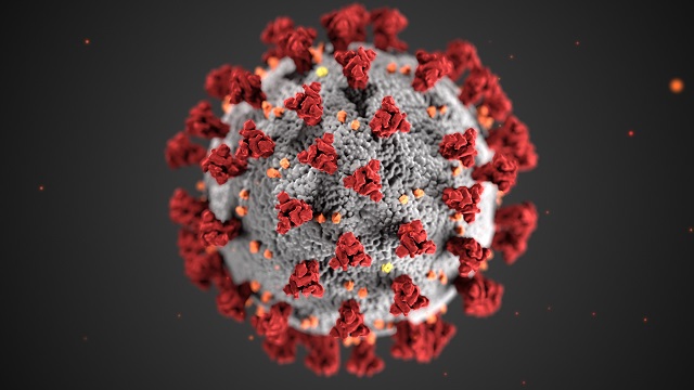Origines du Covid-19: l'hypothèse d'un virus échappé d'un laboratoire est 