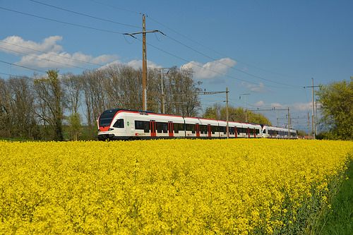 SNCF : le train du Mont-Saint-Michel va carburer au colza