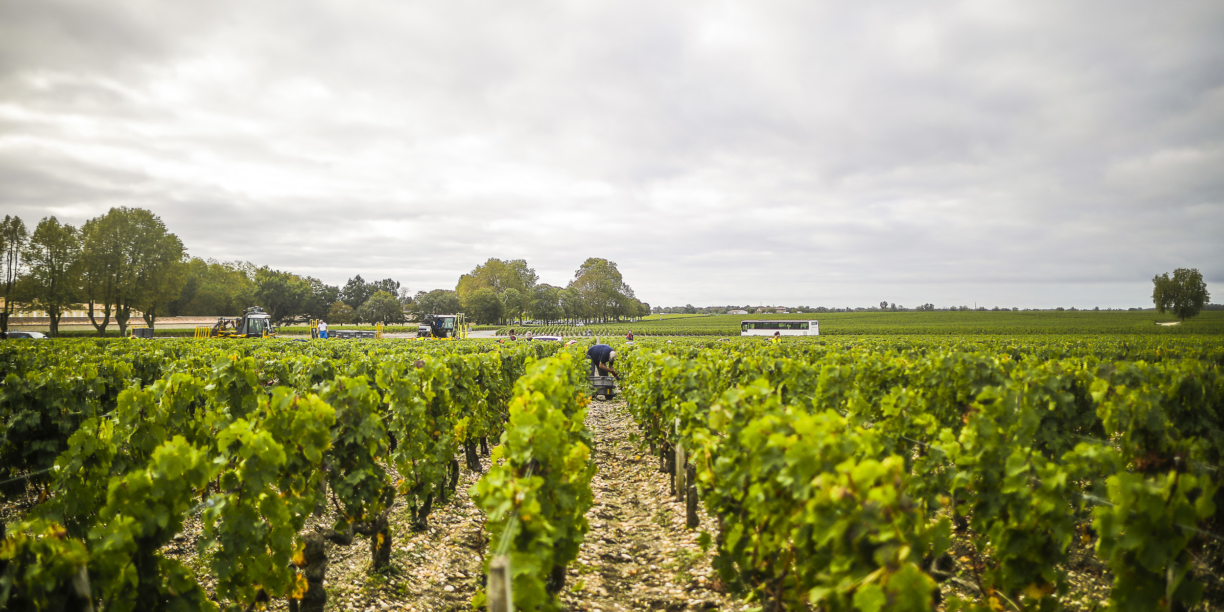 Les ventes de vins de Bordeaux ont dévissé de 400 millions d'euros en 2020
