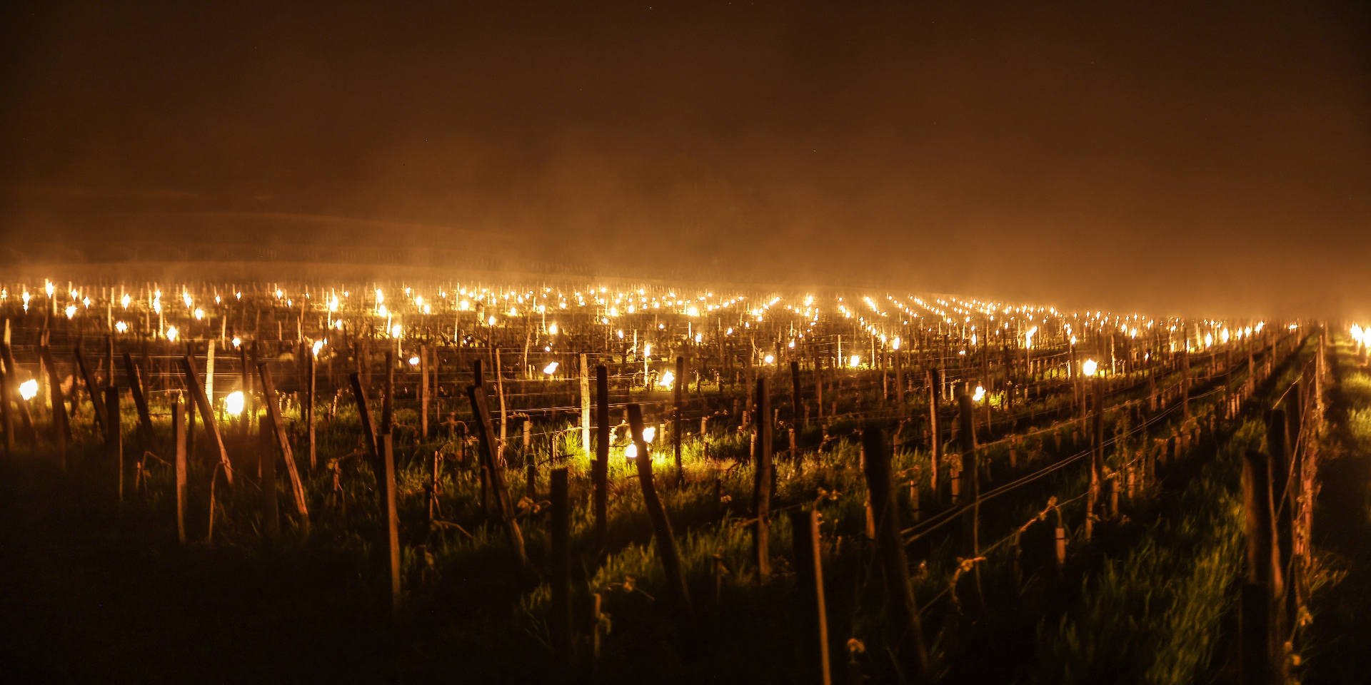 Les viticulteurs et agriculteurs durement frappés par le gel à Bordeaux et dans toute la France