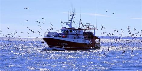 Brexit: face au refus du Royaume-Uni d'appliquer l'accord sur la pêche, la France promet d'être 