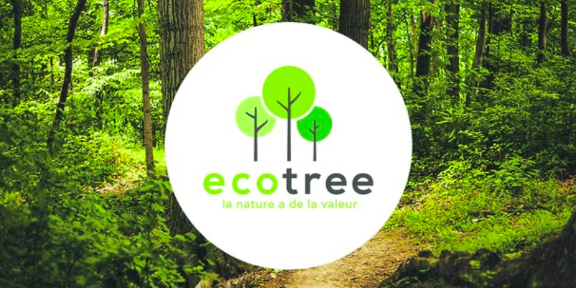 Digitaleo plante des arbres pour compenser les émissions de CO2 de ses campagnes emailing