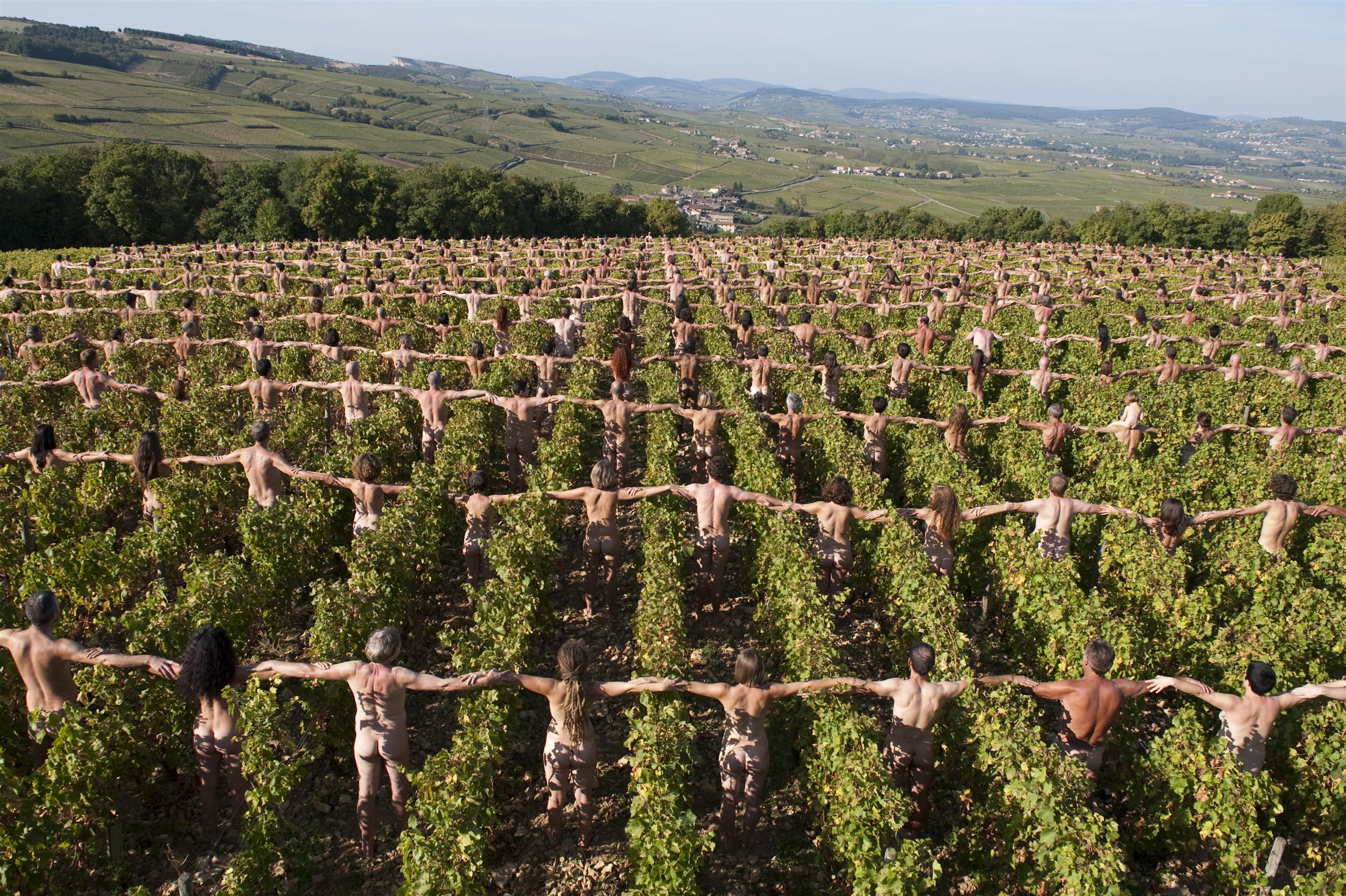 Changement climatique : le vignoble bourguignon veut tout changer pour que rien ne change
