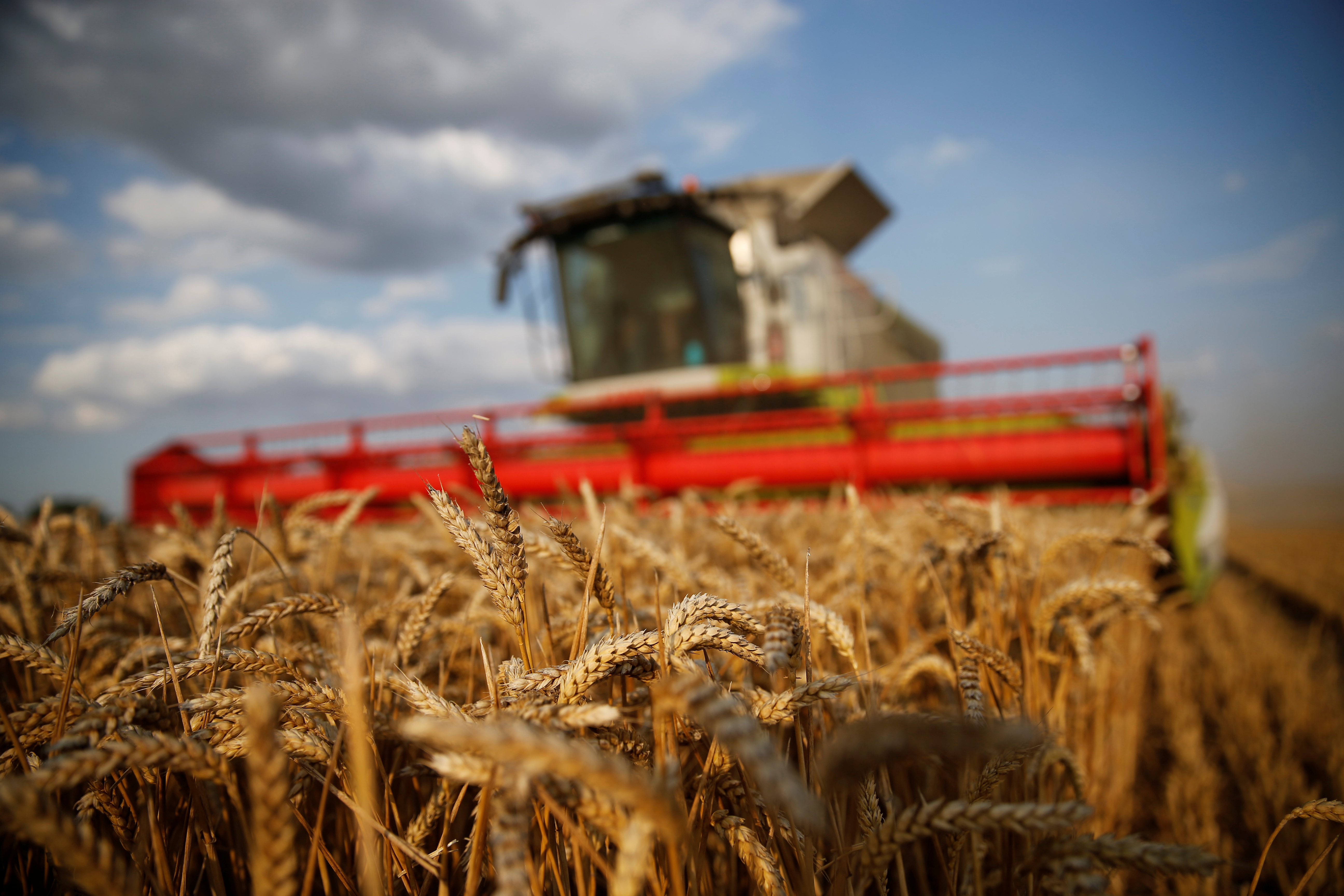 Agriculture : bond des exportations françaises de blé vers le Maghreb, l'Afrique et le Moyen-Orient