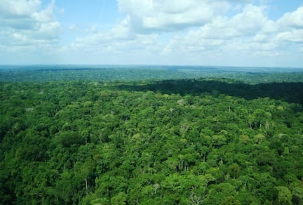 Le pari vert de la Guyane : une énergie 100 % décarbonée d'ici 2027