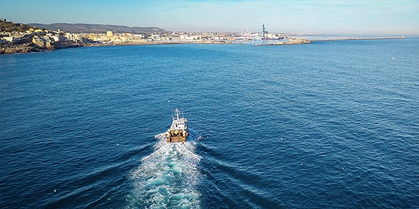 Plan européen de gestion West Med : les pêcheurs en Méditerranée se disent « au bout du bout »