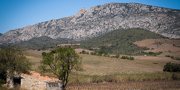 Recensement agricole : le Languedoc-Roussillon perd 20.000 ha et 6.000 entreprises