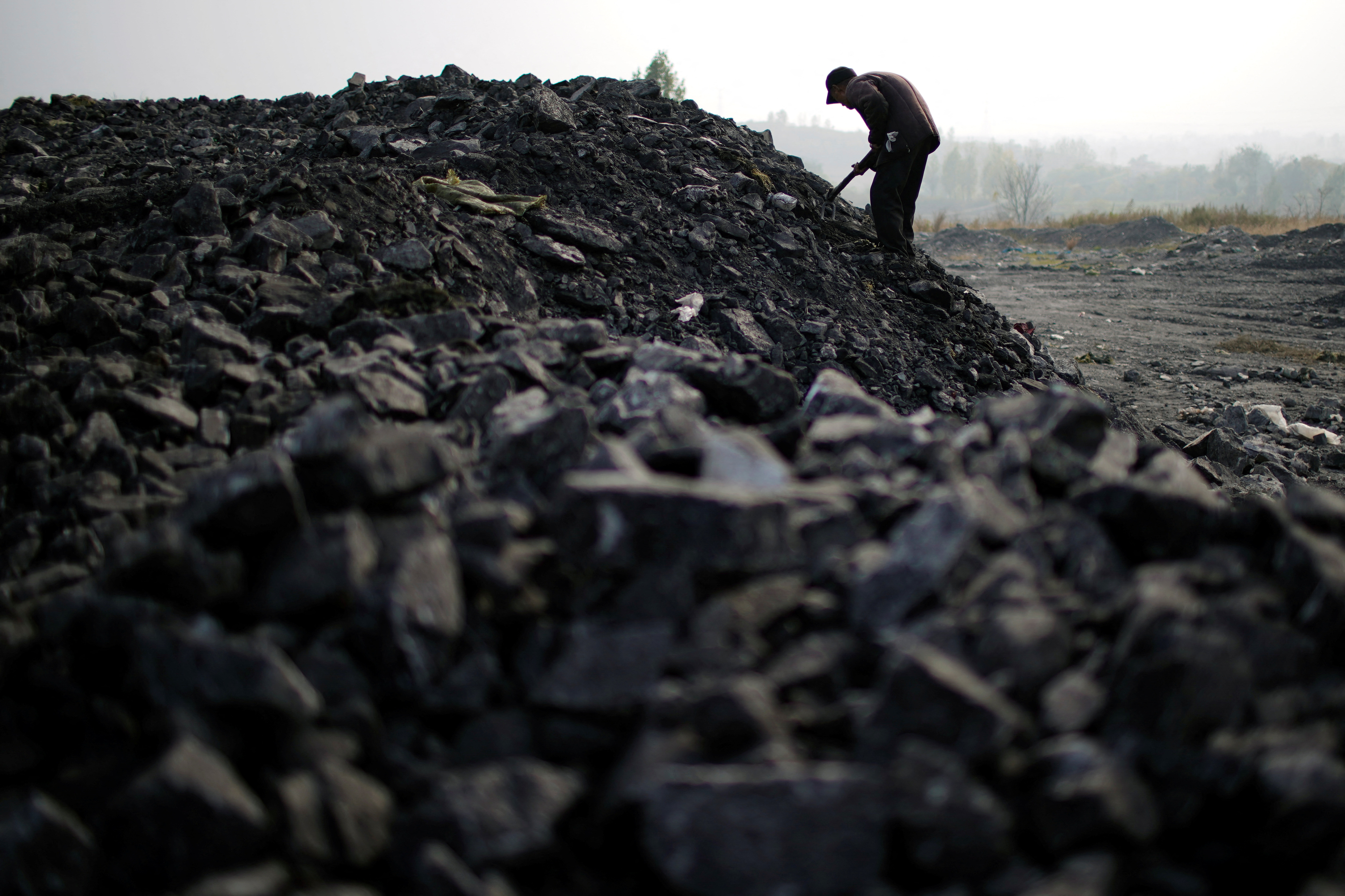 Embargo sur le charbon : l'UE frappe pour la première fois le secteur  énergétique russe