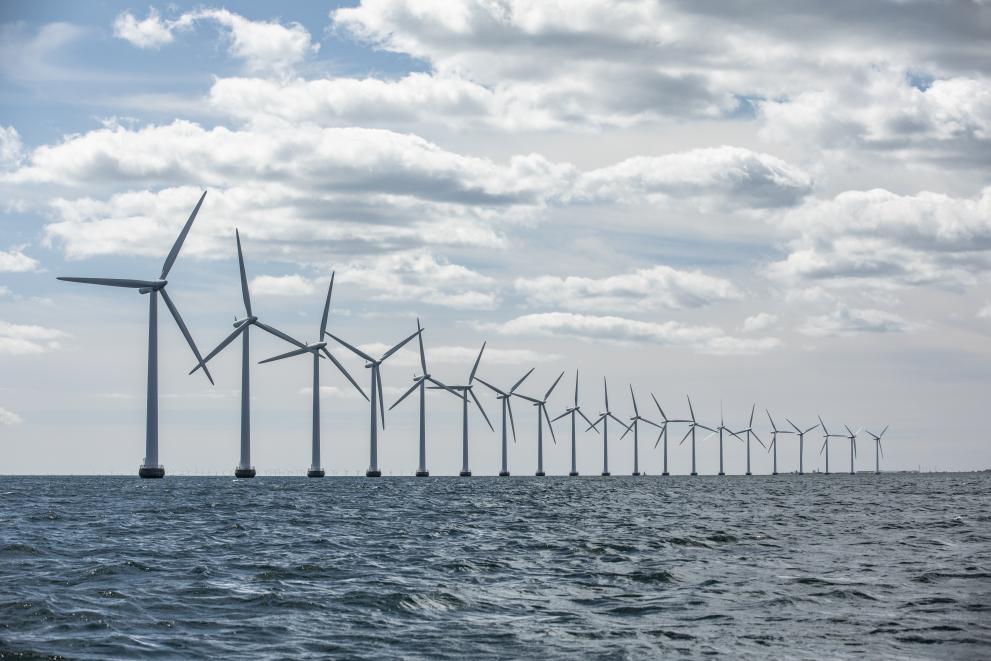 Du gaz russe à l'éolien en mer : une société néerlandaise lance un appel d'offres géant jusqu'à 30 milliards d'euros