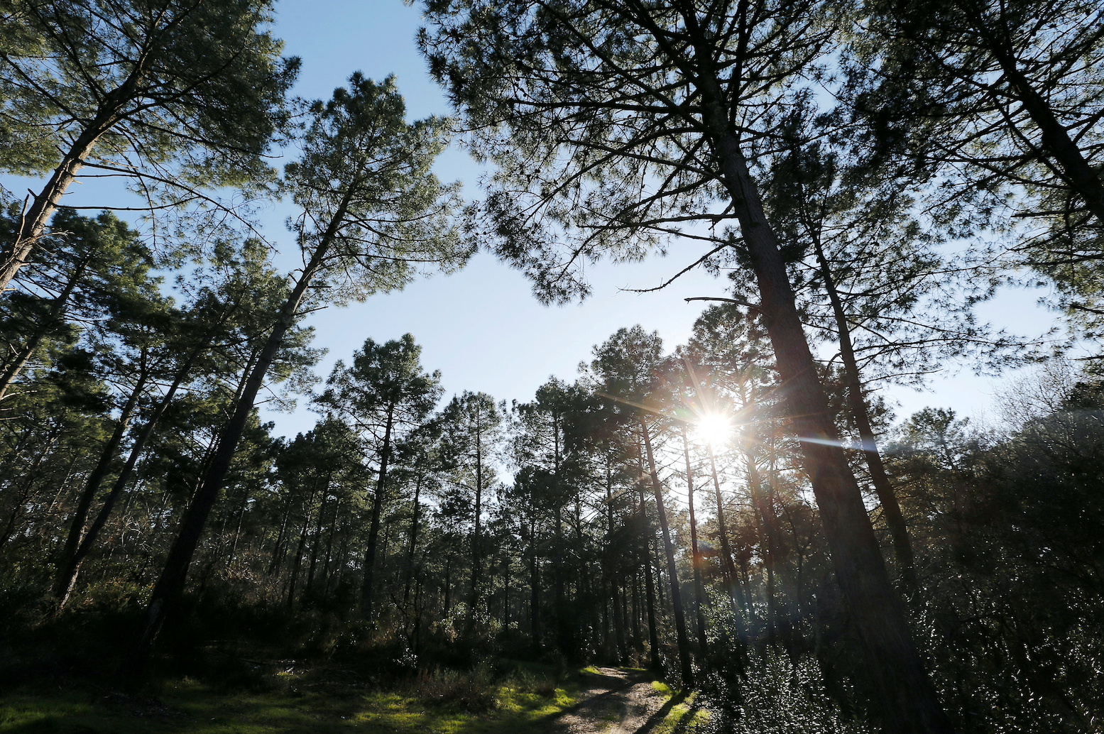 Zéro artificialisation des sols : la Normandie fixe sa doctrine