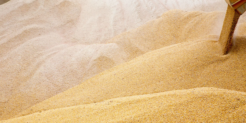 Le conflit entre la Russie et l'Ukraine envoie le prix du blé à un pic de plus de neuf ans