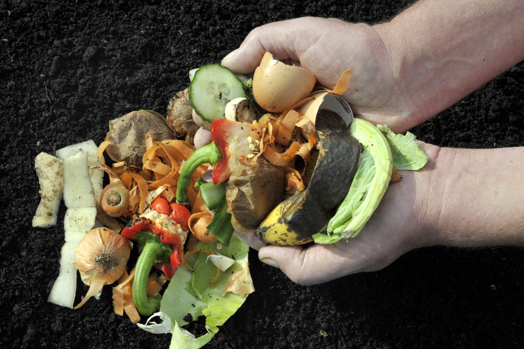 Du kebab au gaz vert, les biodéchets face aux défis de la collecte massive et de la logistique