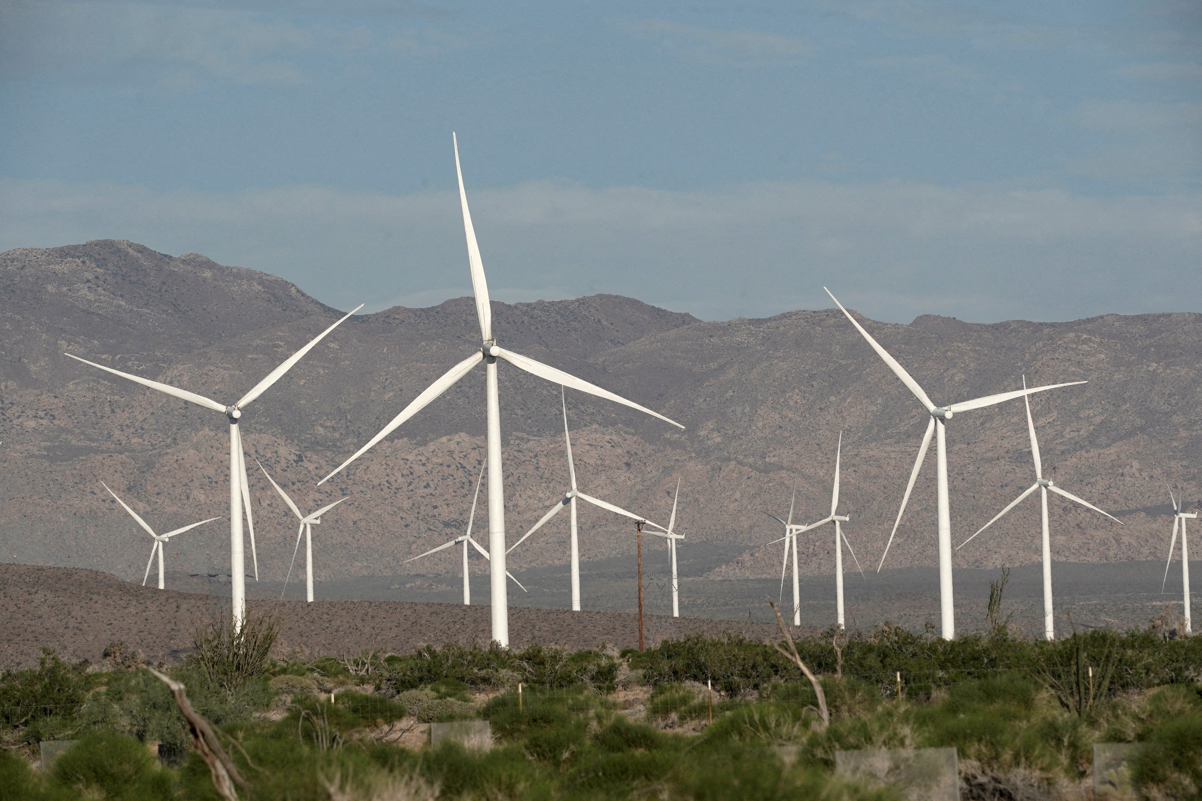 Présidentielle : où les candidats se positionnent au sujet des énergies renouvelables ?