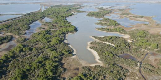 Salinité des terres : la Camargue en danger