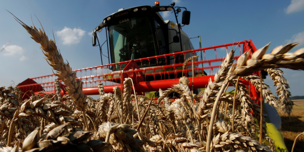 Pour produire plus de blé et lutter contre la flambée des prix, l'UE songe à reporter la règle de rotation des cultures