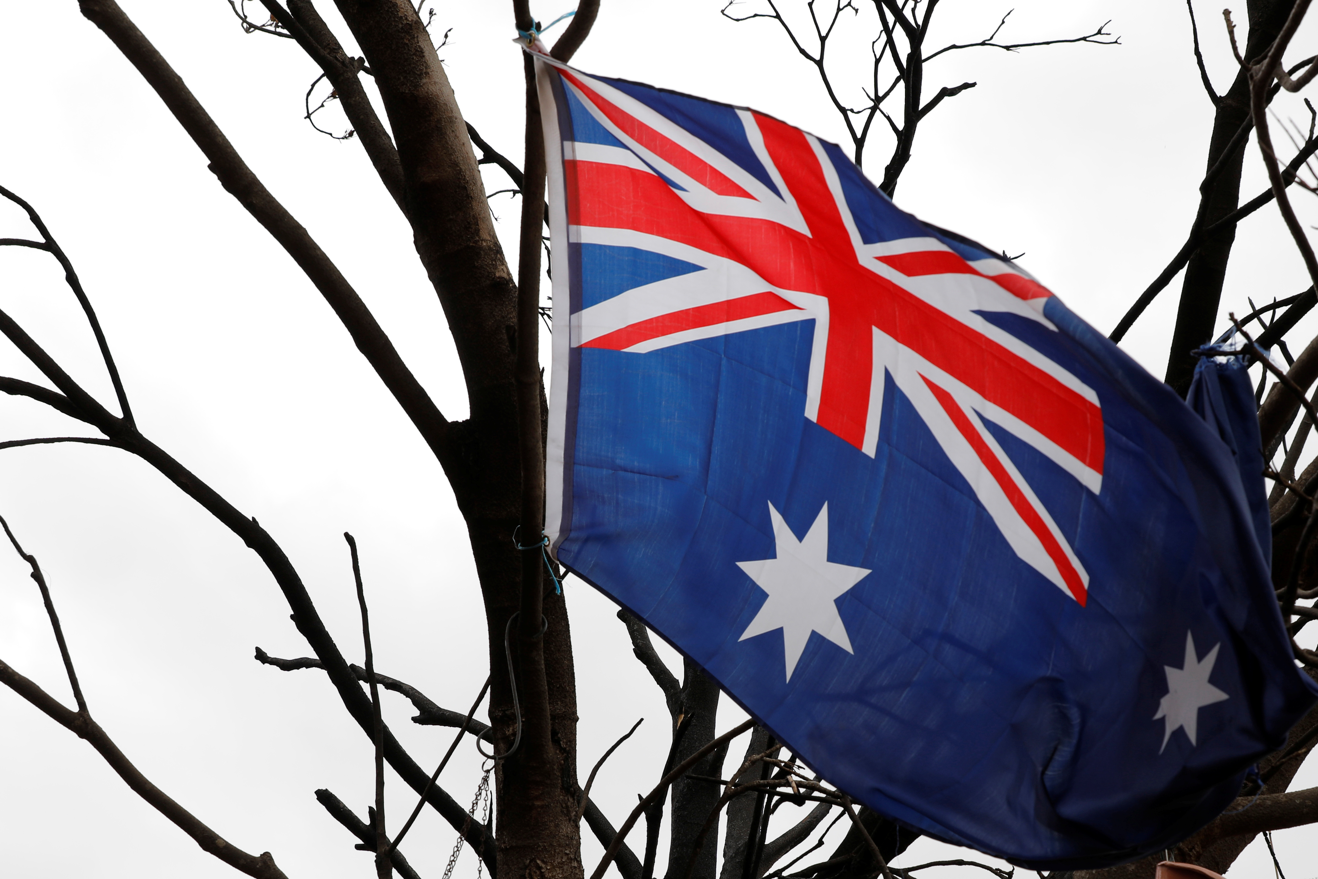 L'Australie, pays de la Grande Barrière de Corail, gravement touché par le changement climatique, selon un rapport