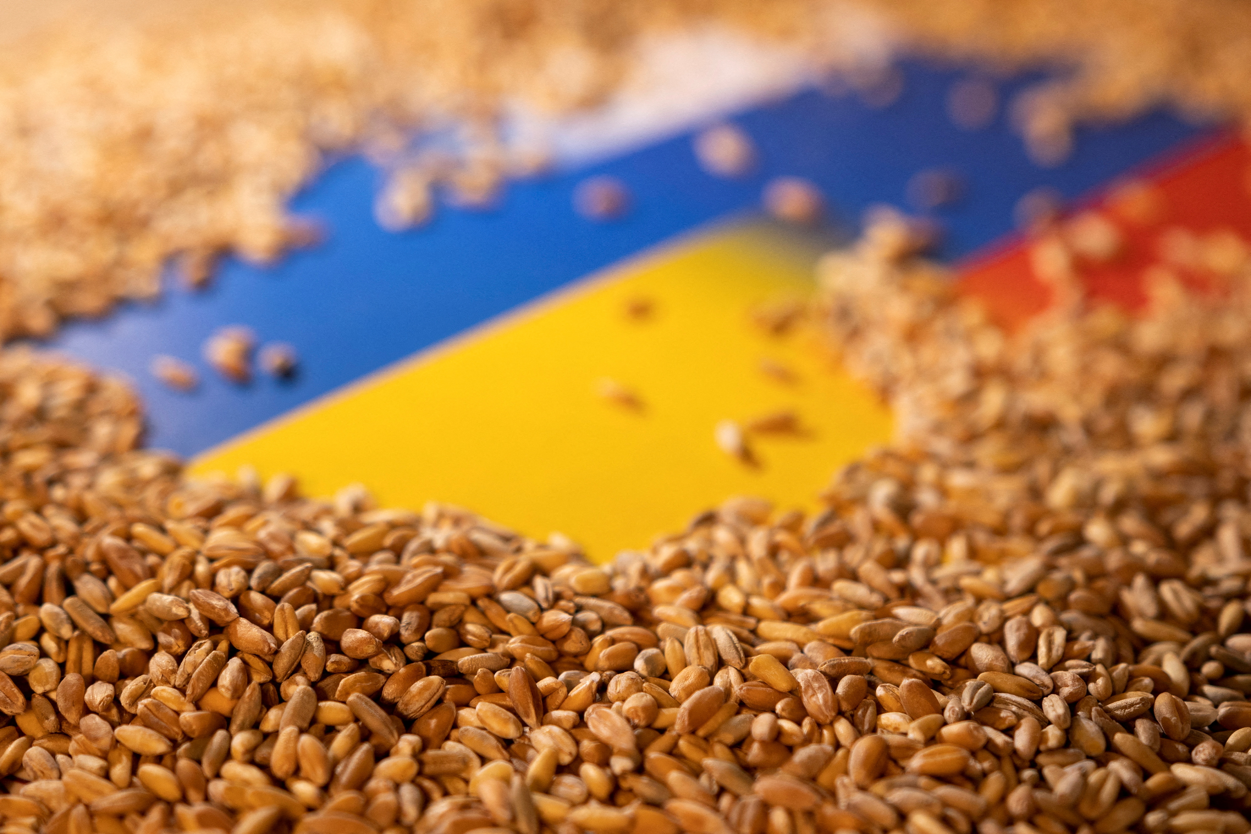 Pour les Etats-Unis, il est "crédible" que la Russie vole du blé à l'Ukraine  pour le vendre