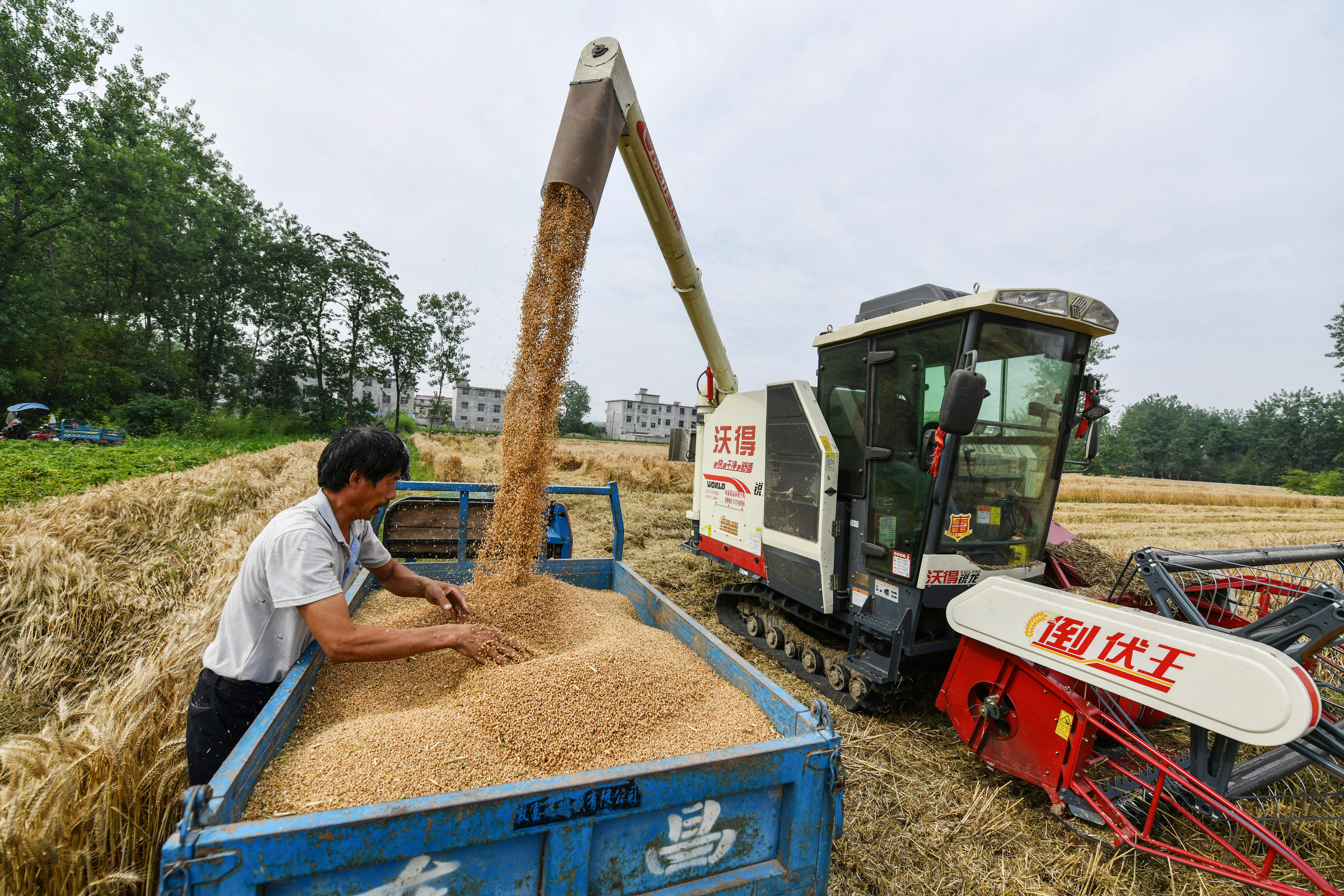 Pourquoi la Chine, plus que la guerre en Ukraine, menace la sécurité alimentaire mondiale