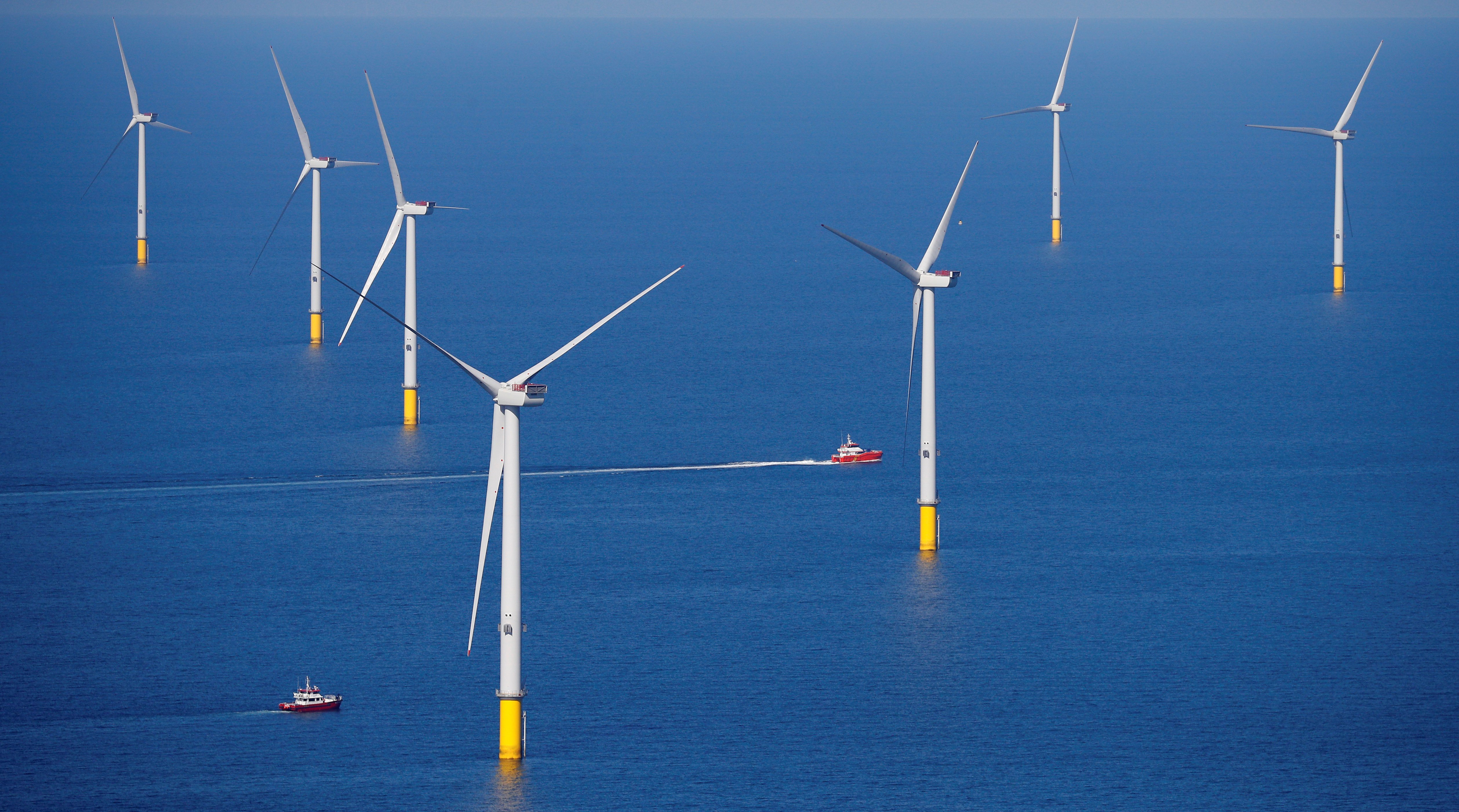 CLS rachète Quiet Oceans pour réduire la pollution sonore en mer