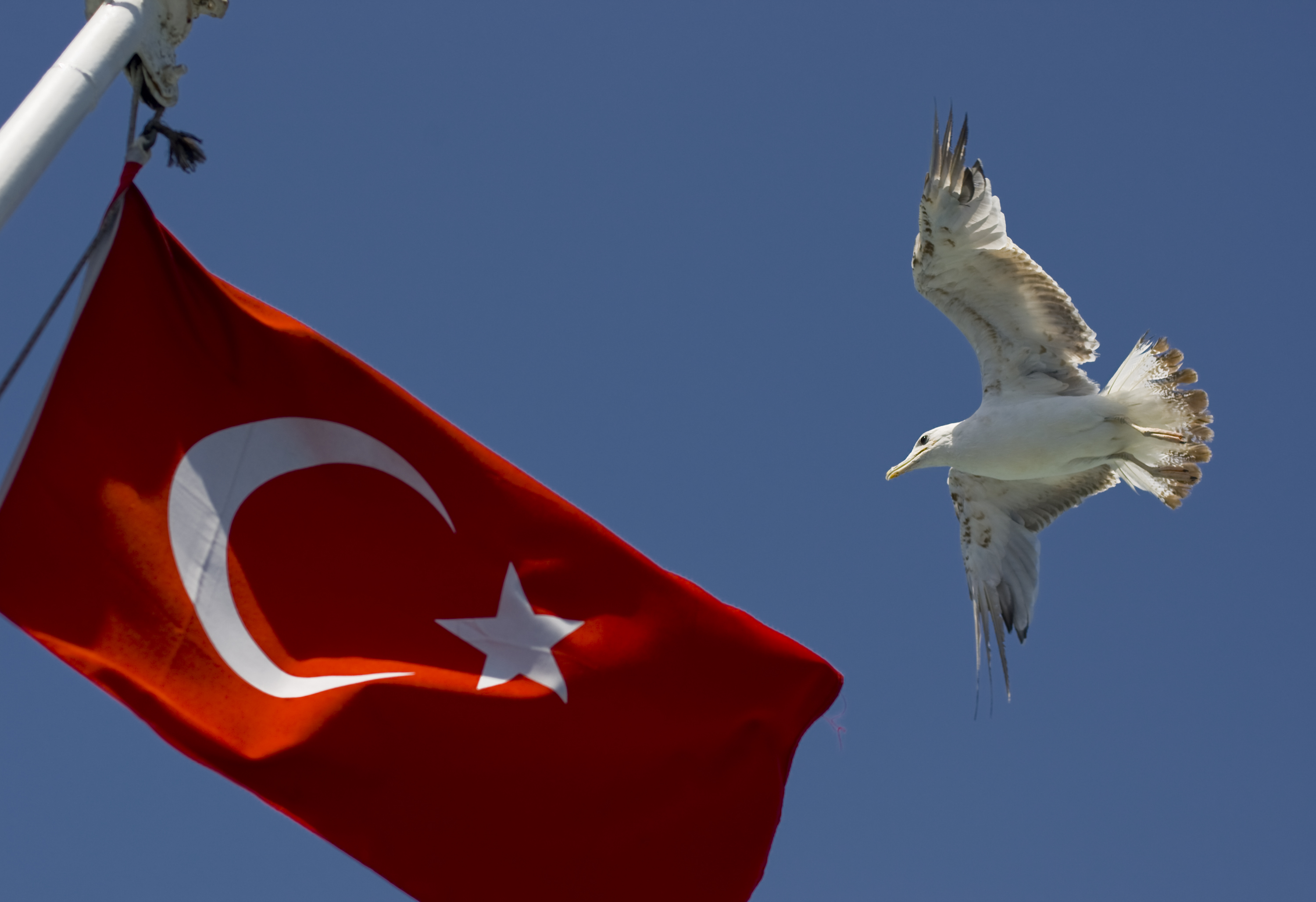 Turquie : face à l'inflation, la banque centrale relève son taux à un niveau jamais vu depuis vingt ans