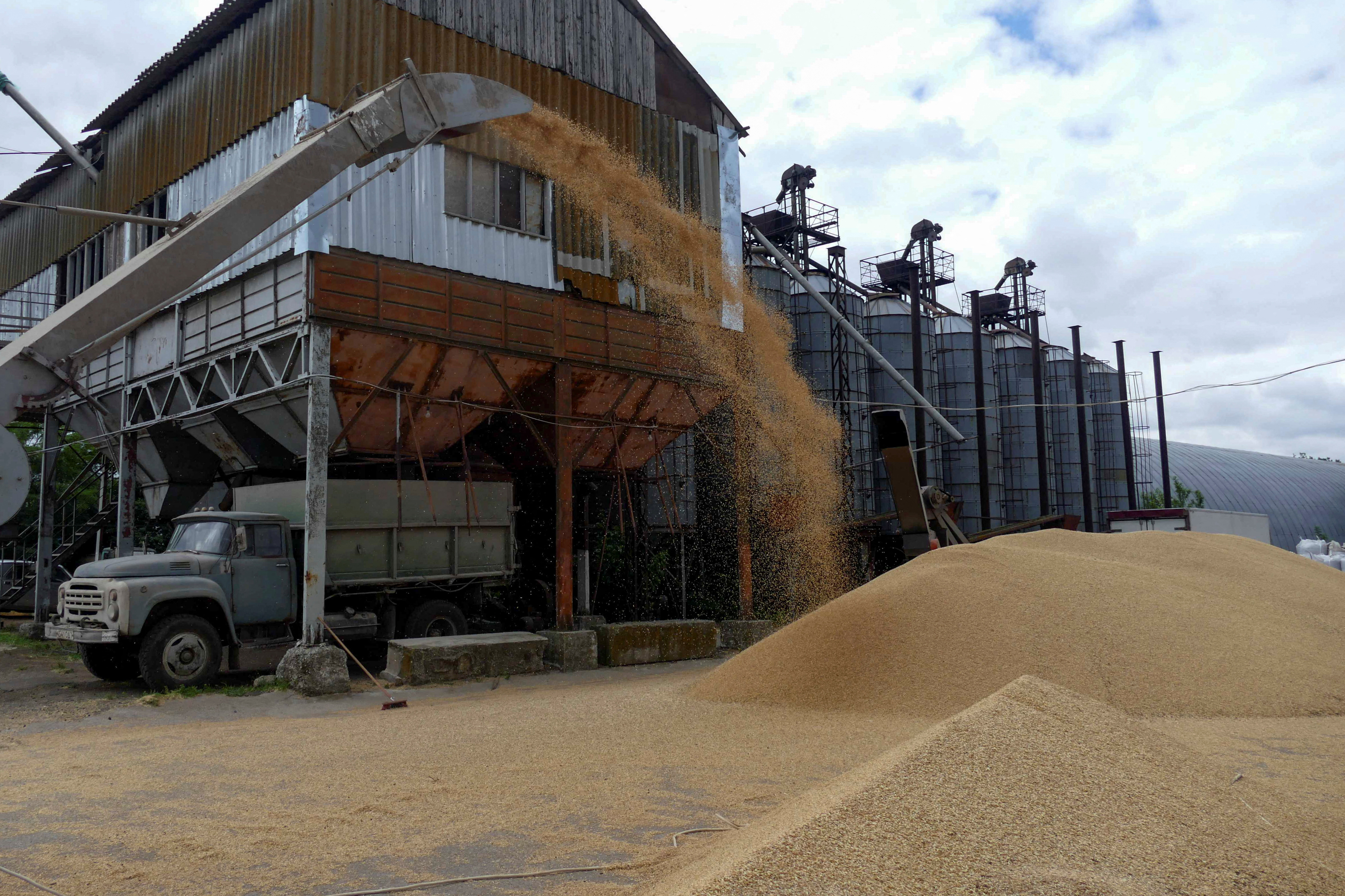 Céréales : le blocage des exportations ukrainiennes par la Russie tire les prix à la hausse