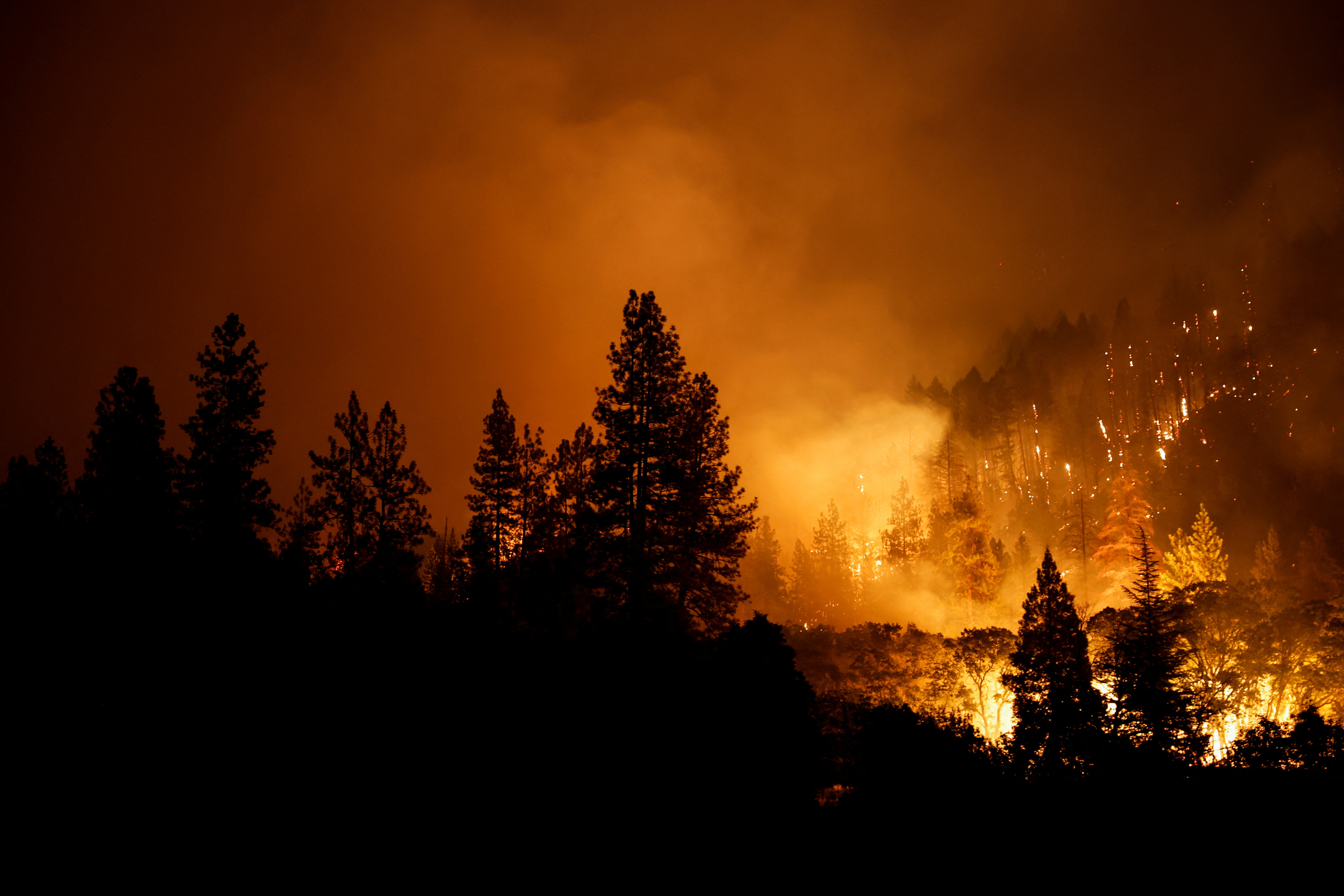 Incendies 2022 : comprendre la dynamique des feux en Europe grâce aux « pyrorégions »