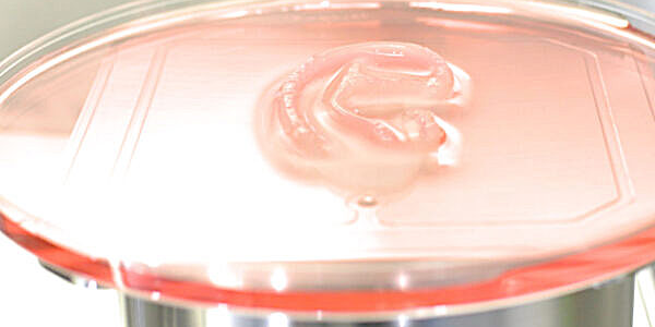 (1/5) Régénération cellulaire : la première greffe biologique imprimée en 3D