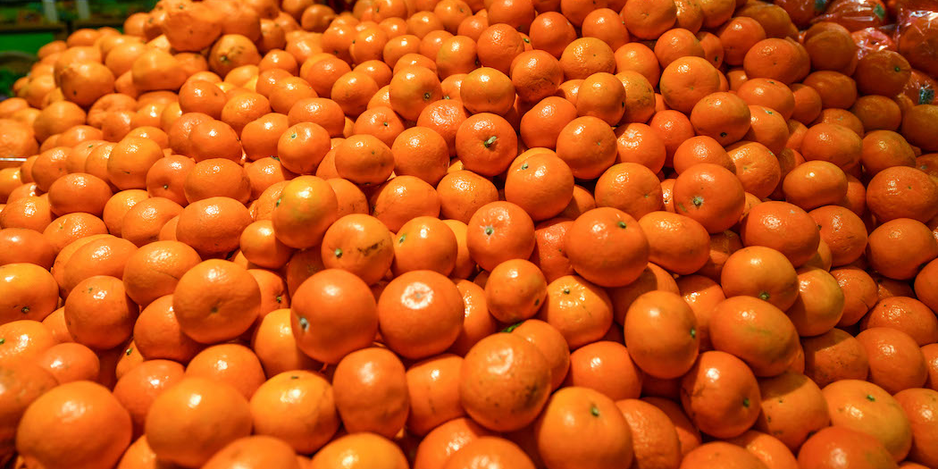 Des tonnes d'oranges d'Afrique du Sud pourrissent dans des conteneurs bloqués dans les ports européens