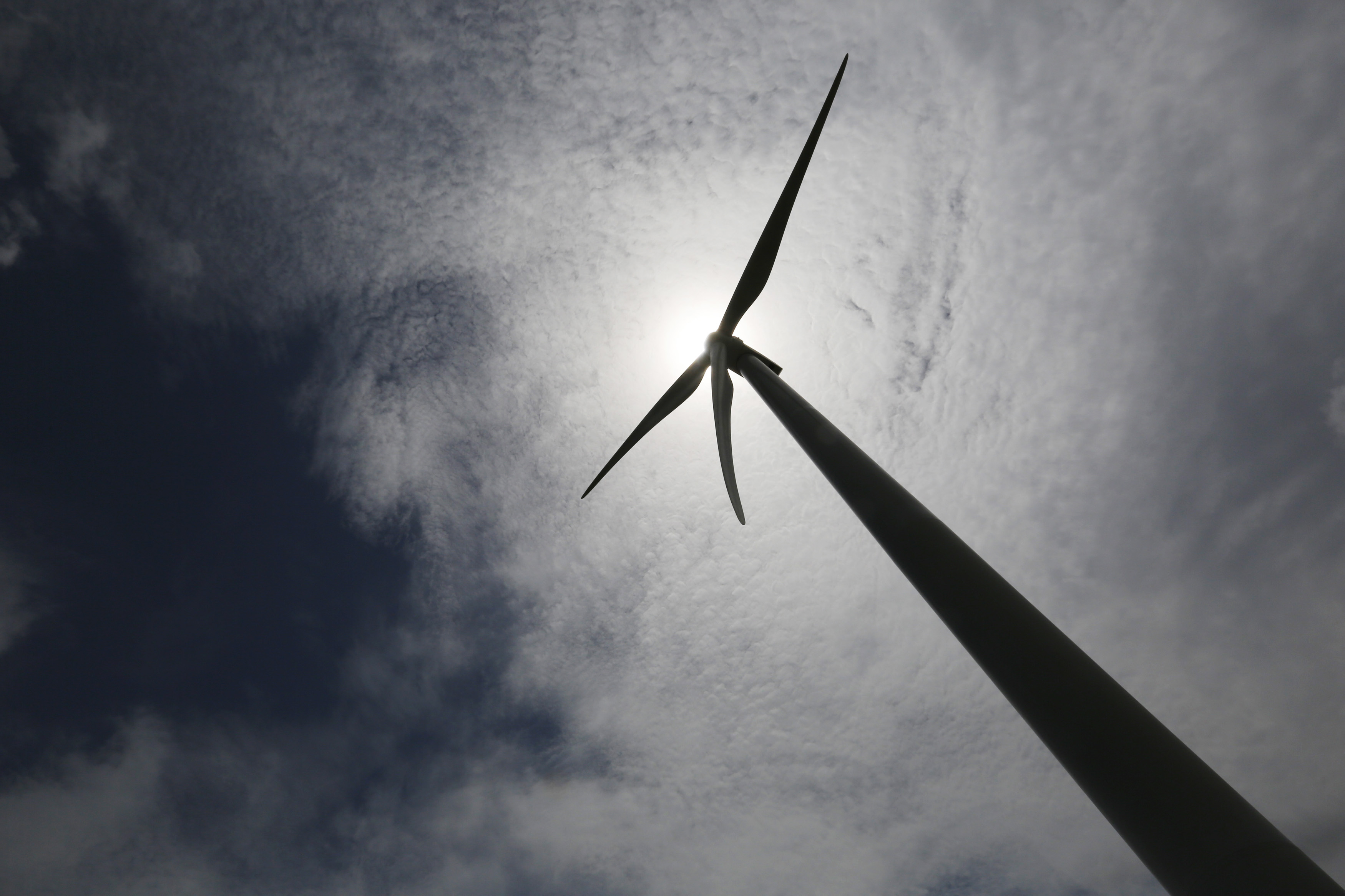 Le plus grand parc éolien offshore d'Ecosse a commencé à produire de l'électricité