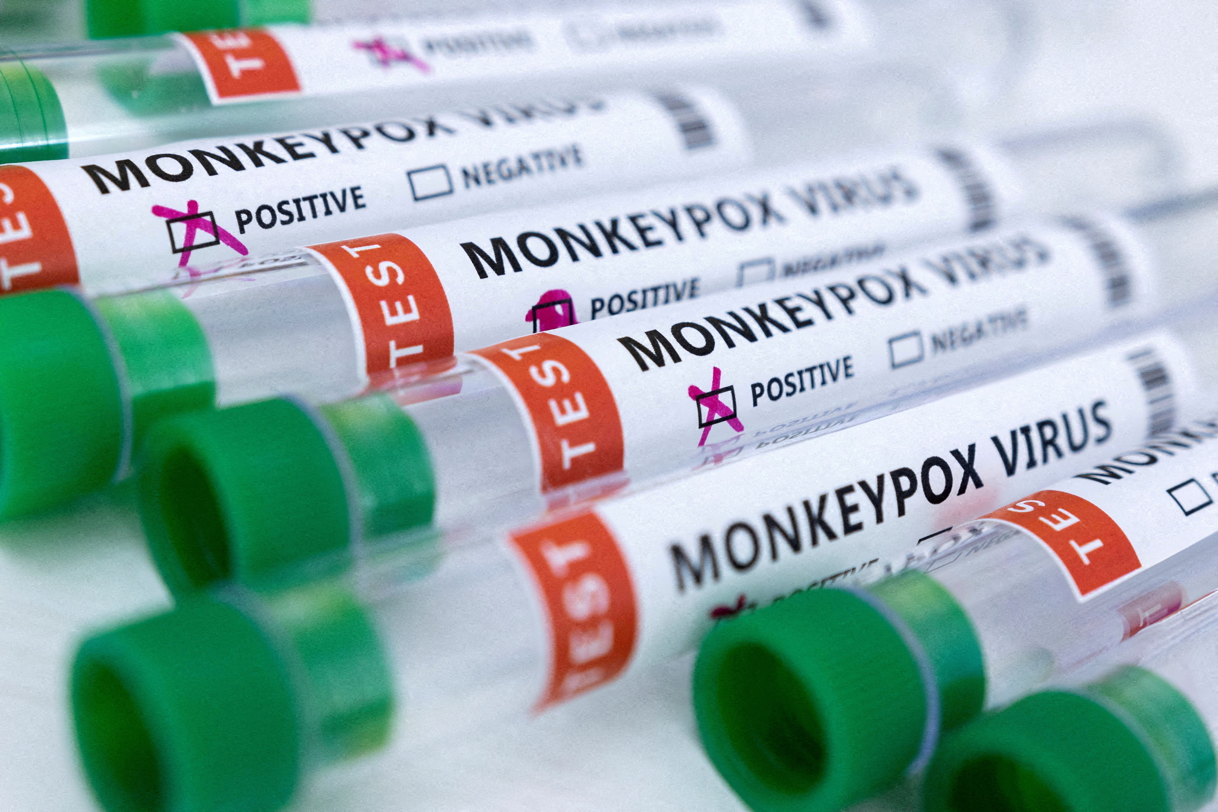 Variole du singe : l'UE commande 170.000 doses de vaccin supplémentaires