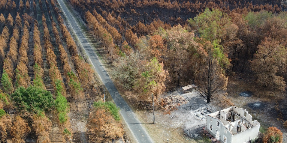 Peut-on prévenir les incendies de forêt ?